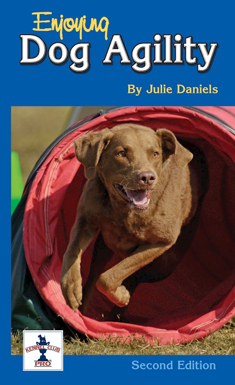 Enjoying Dog Agility