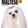 Maltese