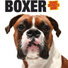 Boxer