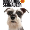 Miniature Schnauzer