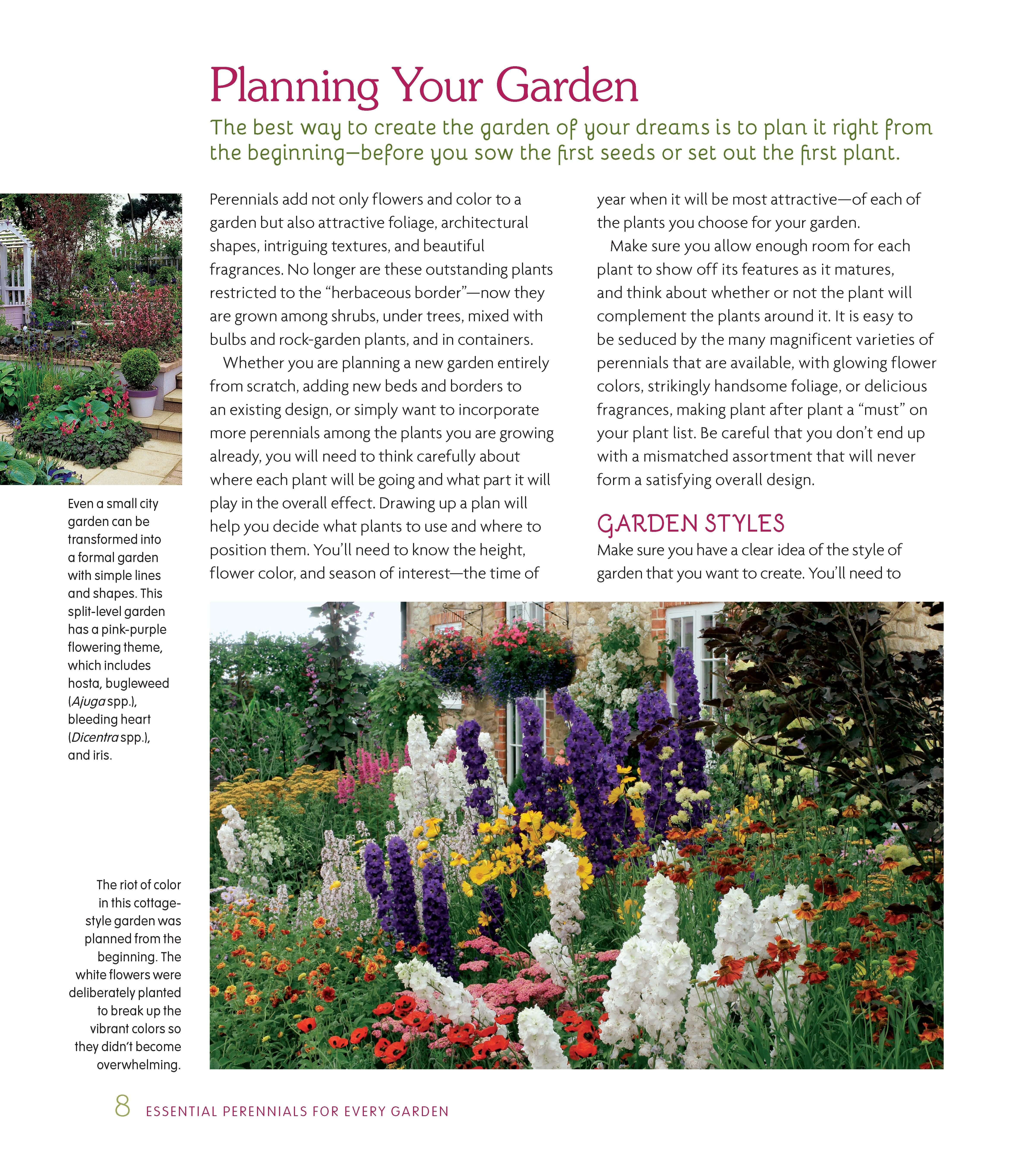 Essential Perennials for Every Garden