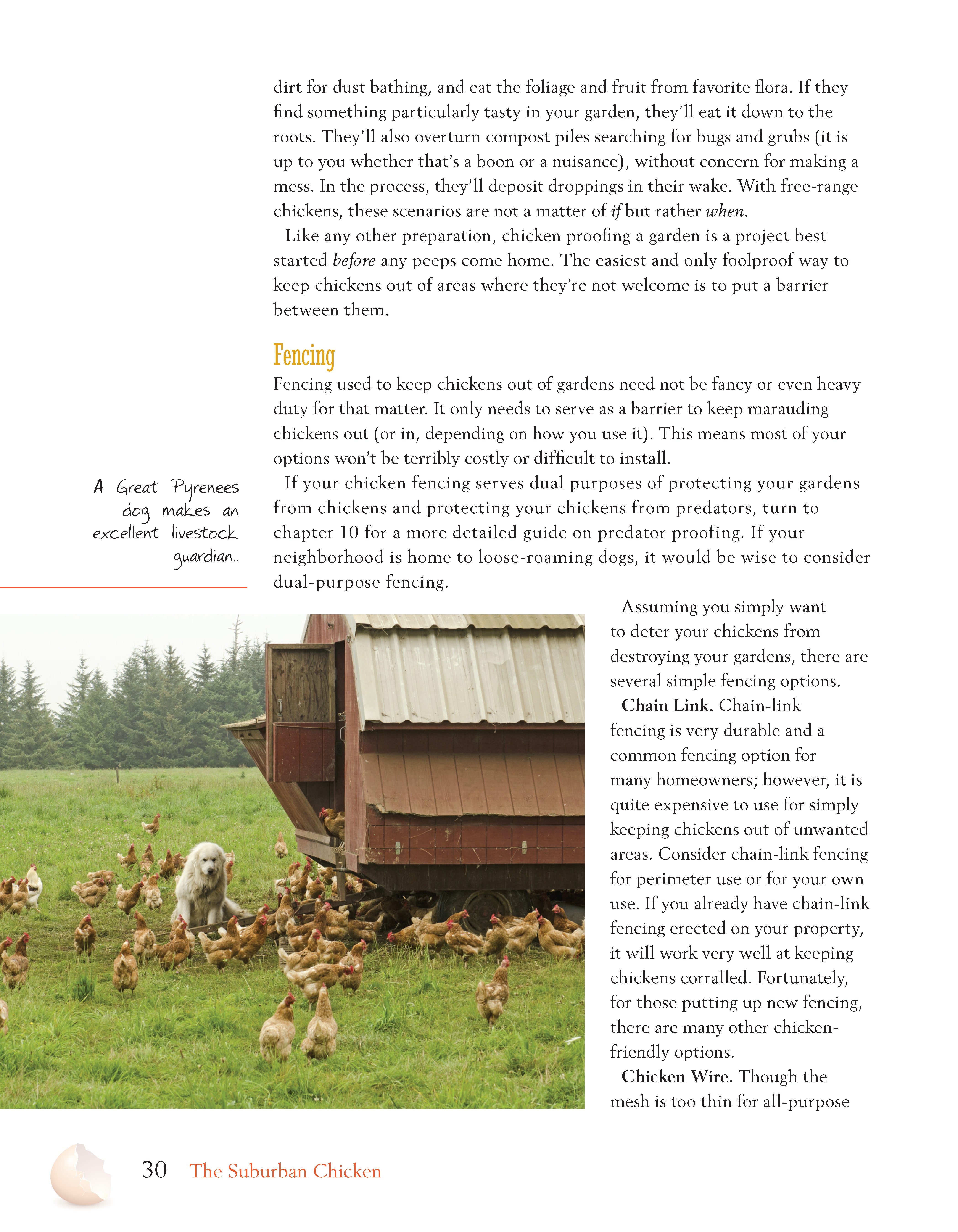 The Suburban Chicken