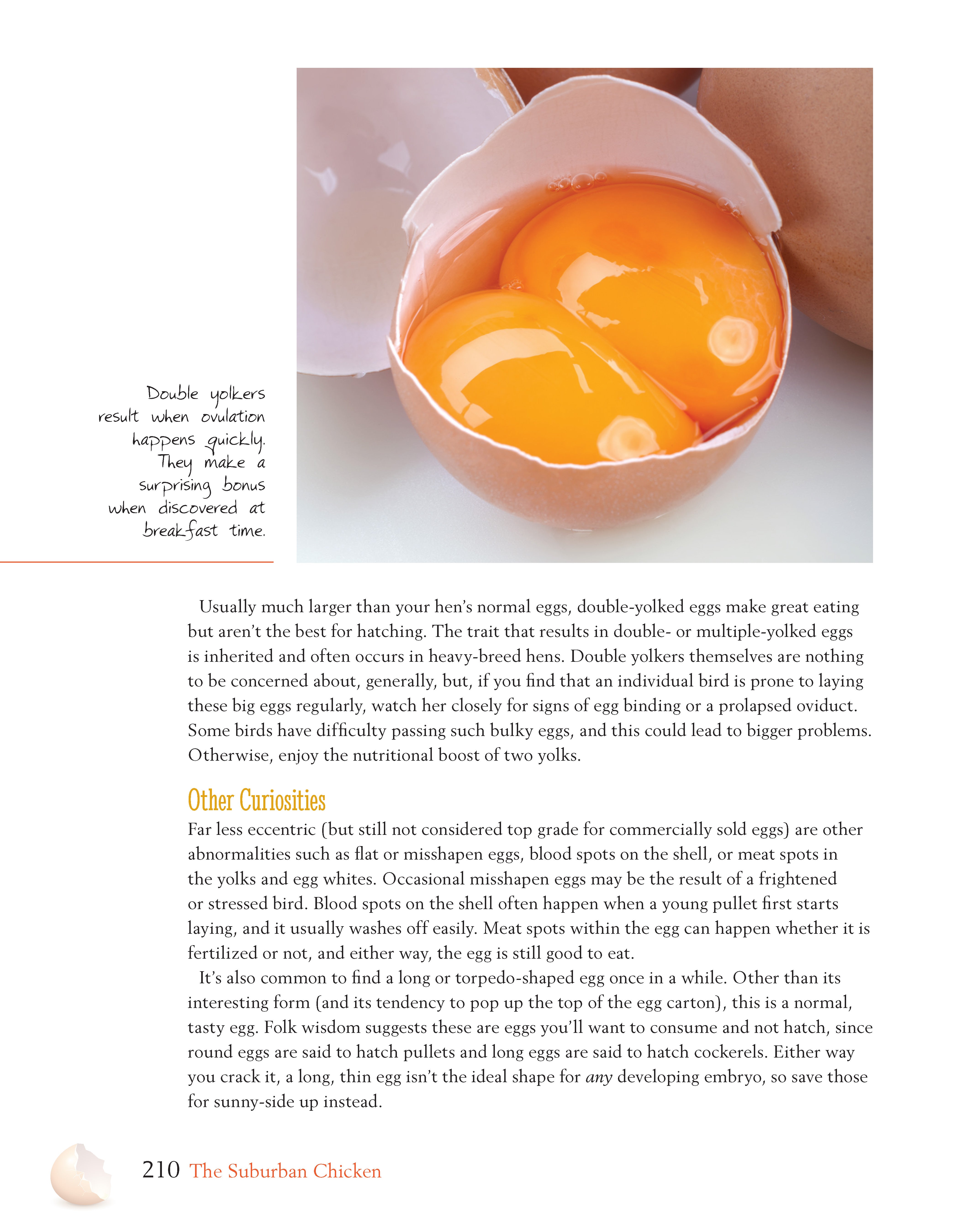 The Suburban Chicken