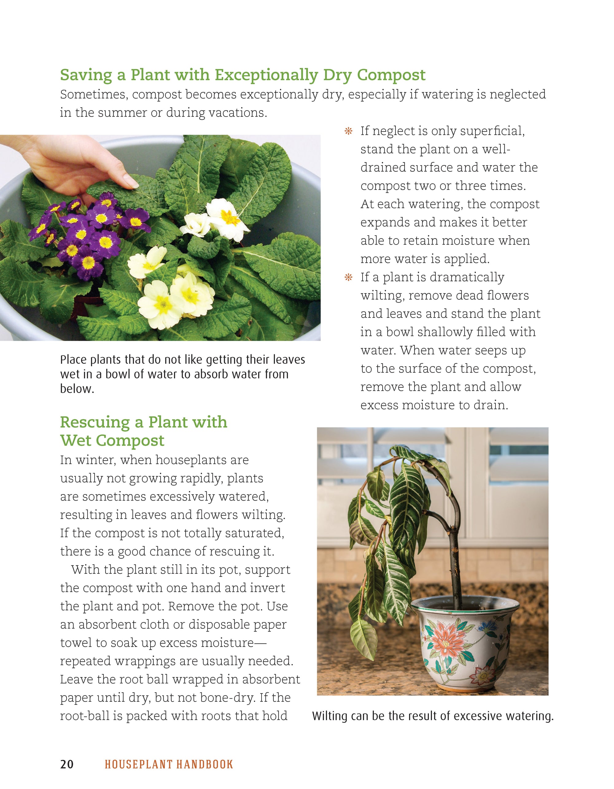 Houseplant Handbook