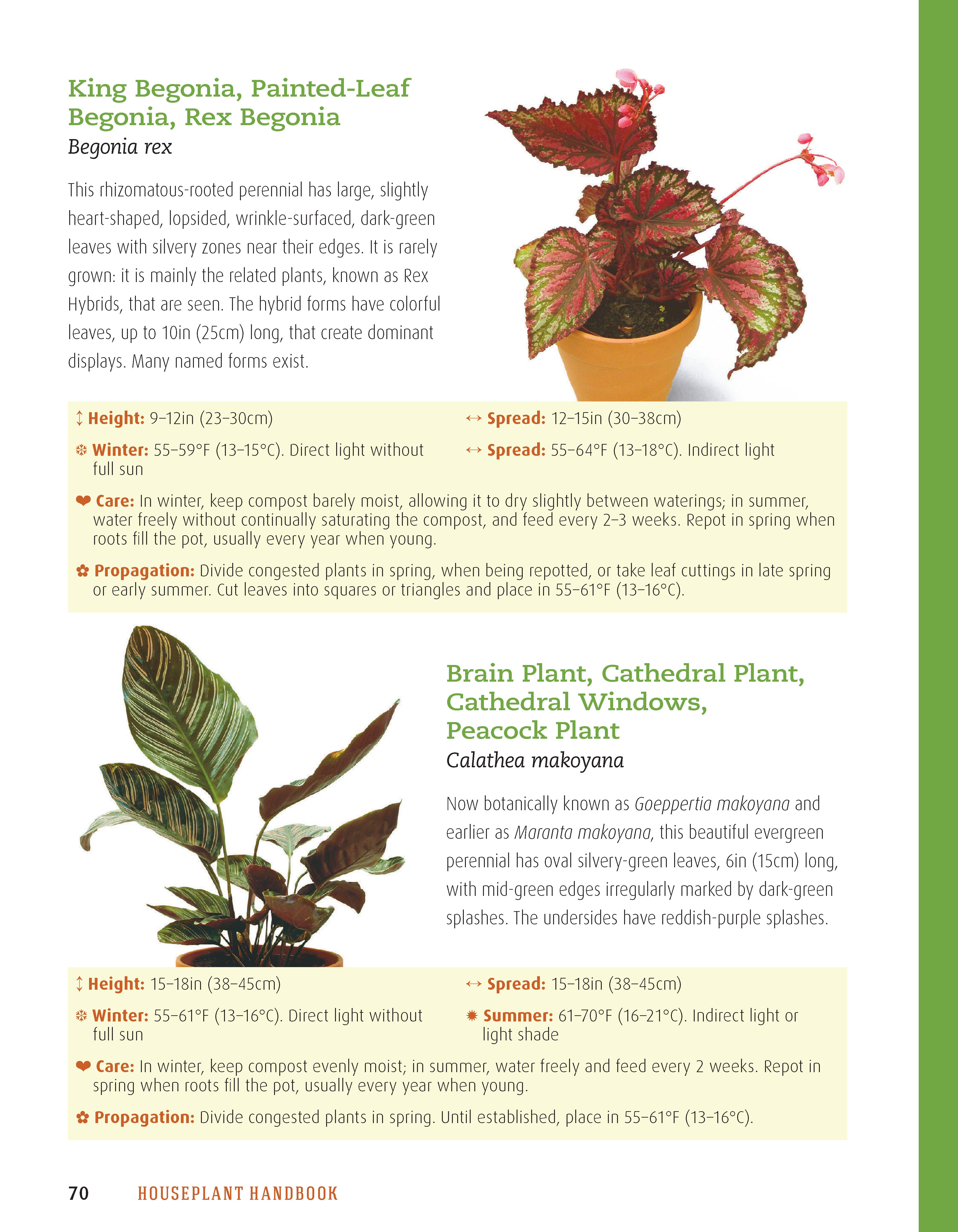Houseplant Handbook