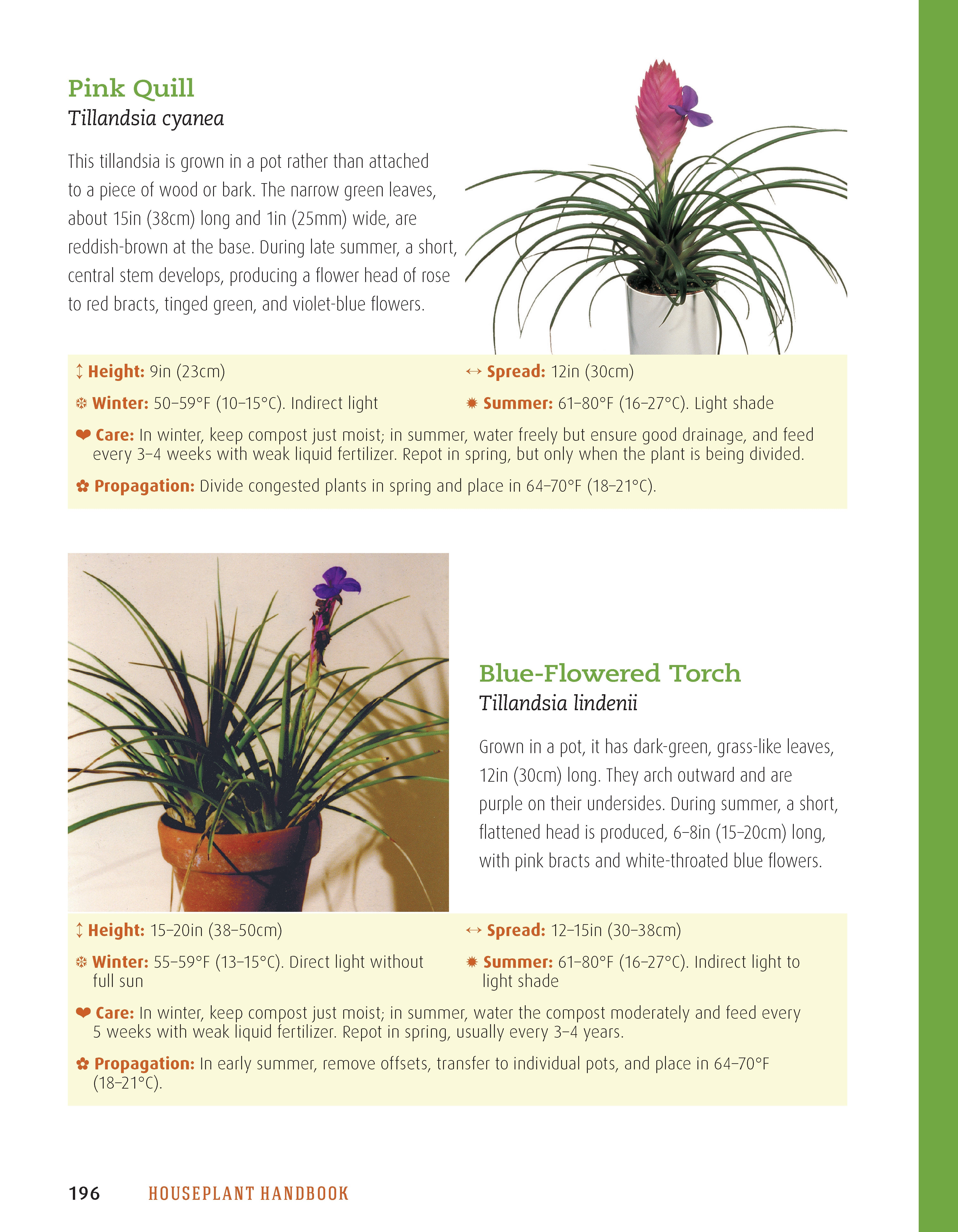 Houseplant Handbook