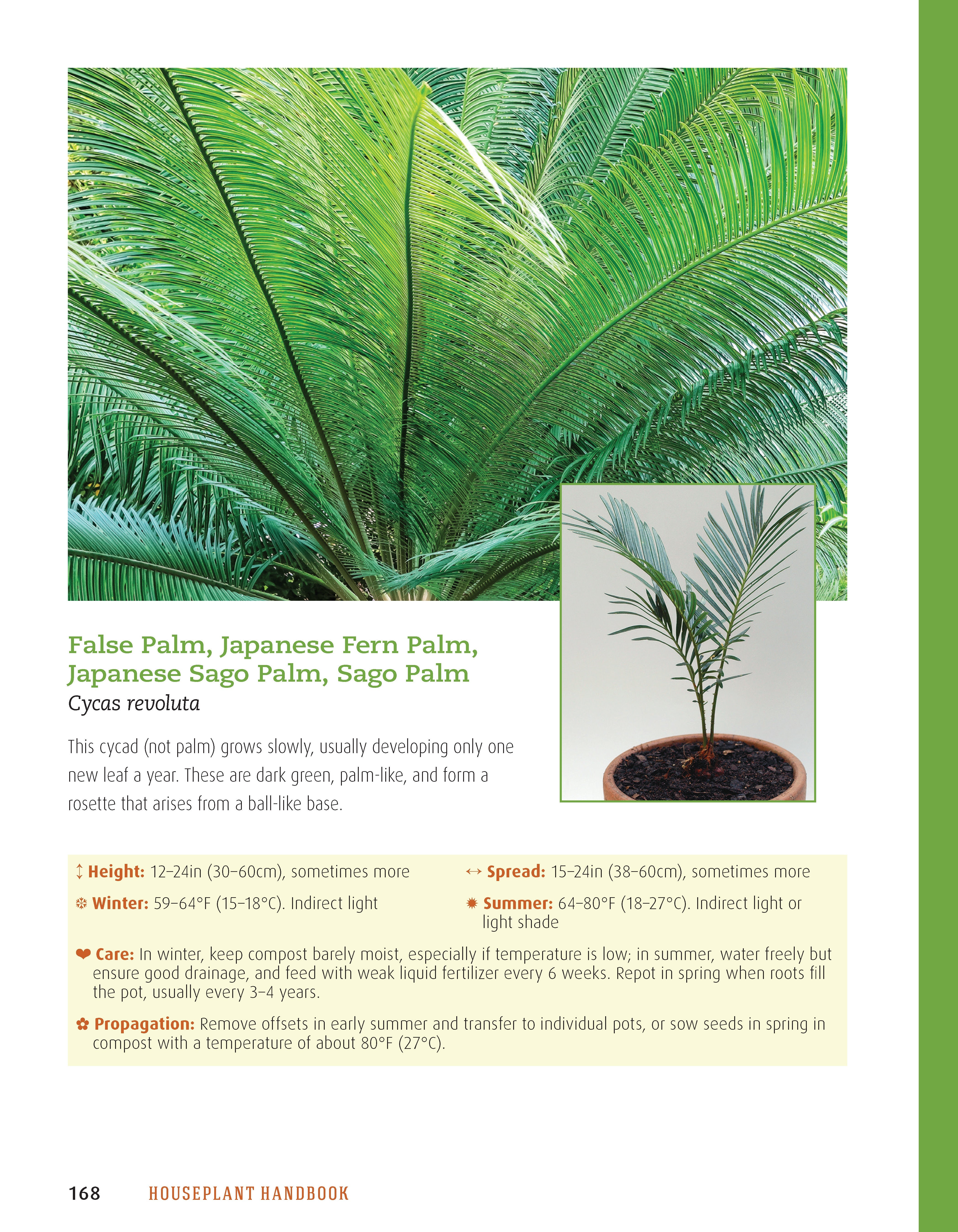 Houseplant Handbook