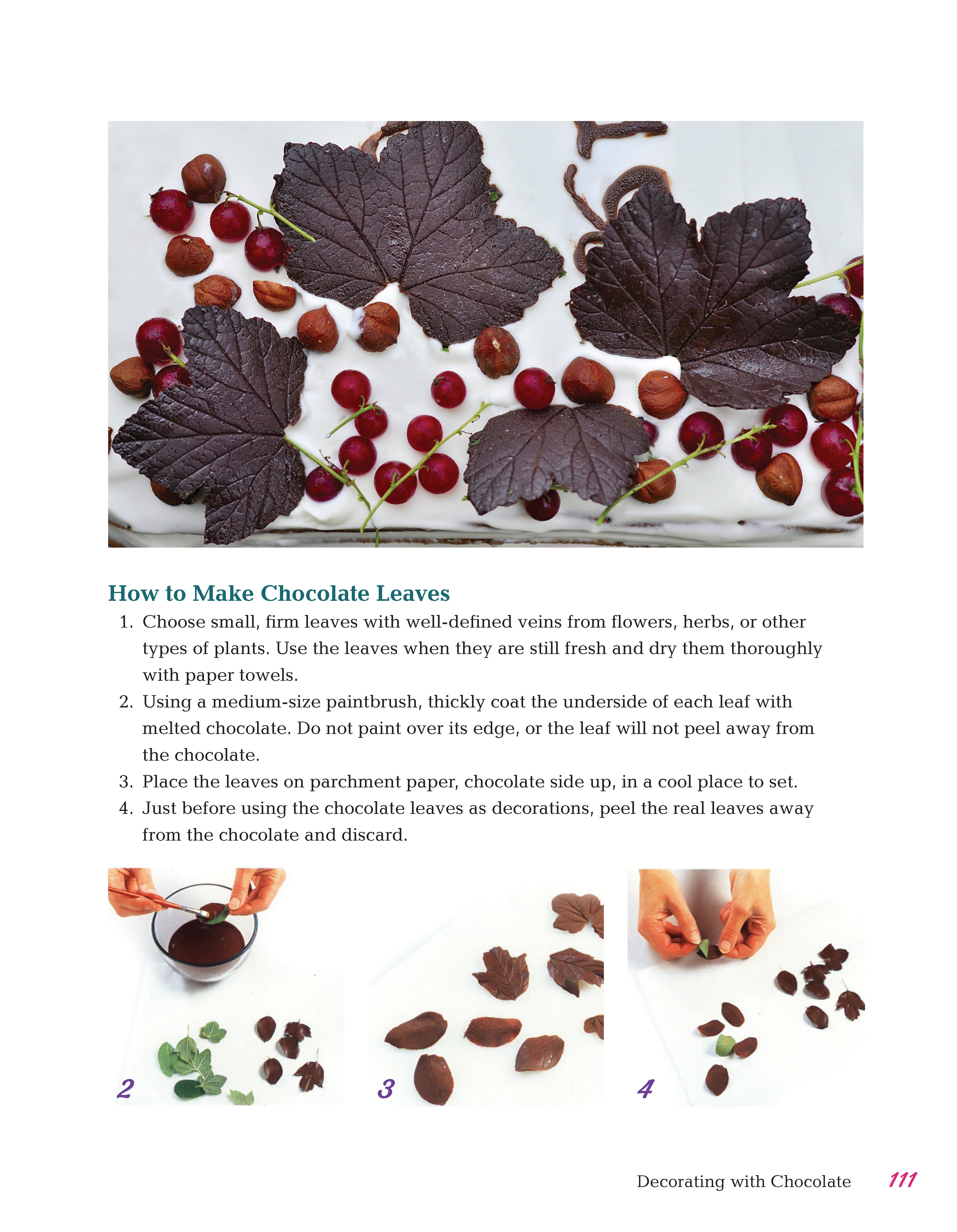 All-in-One Guide to Cake Decorating