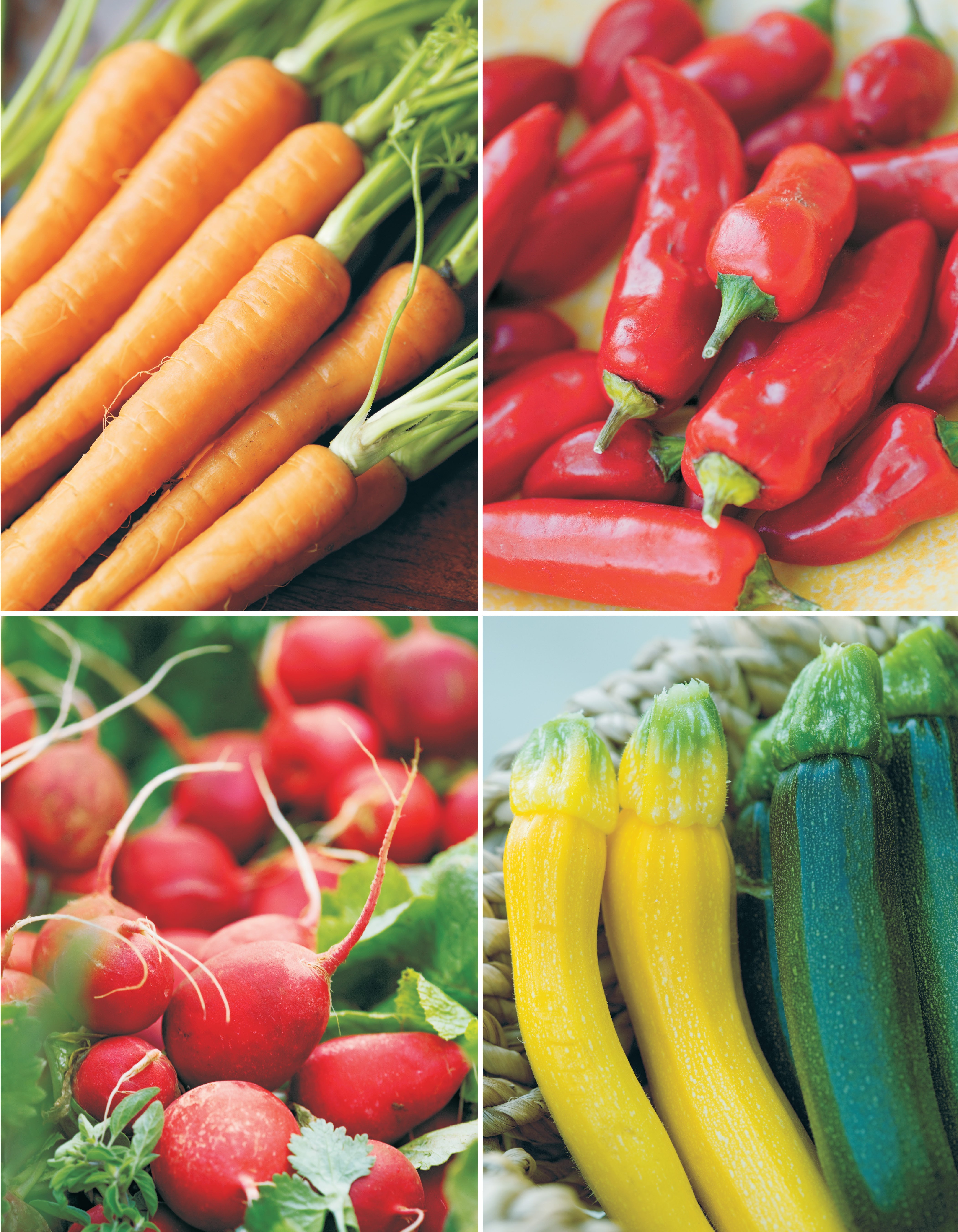 Low-Maintenance Vegetable Gardening