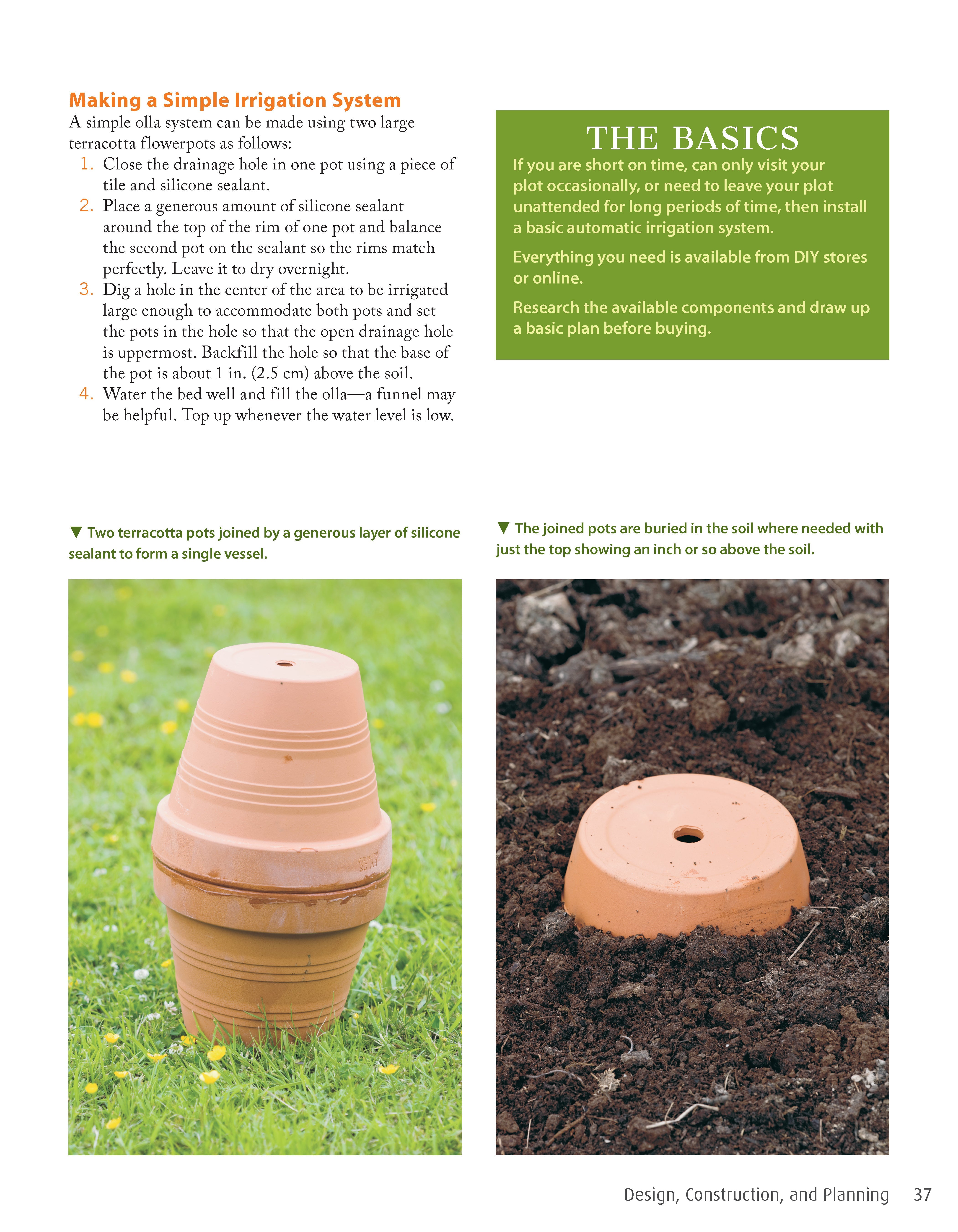 Low-Maintenance Vegetable Gardening