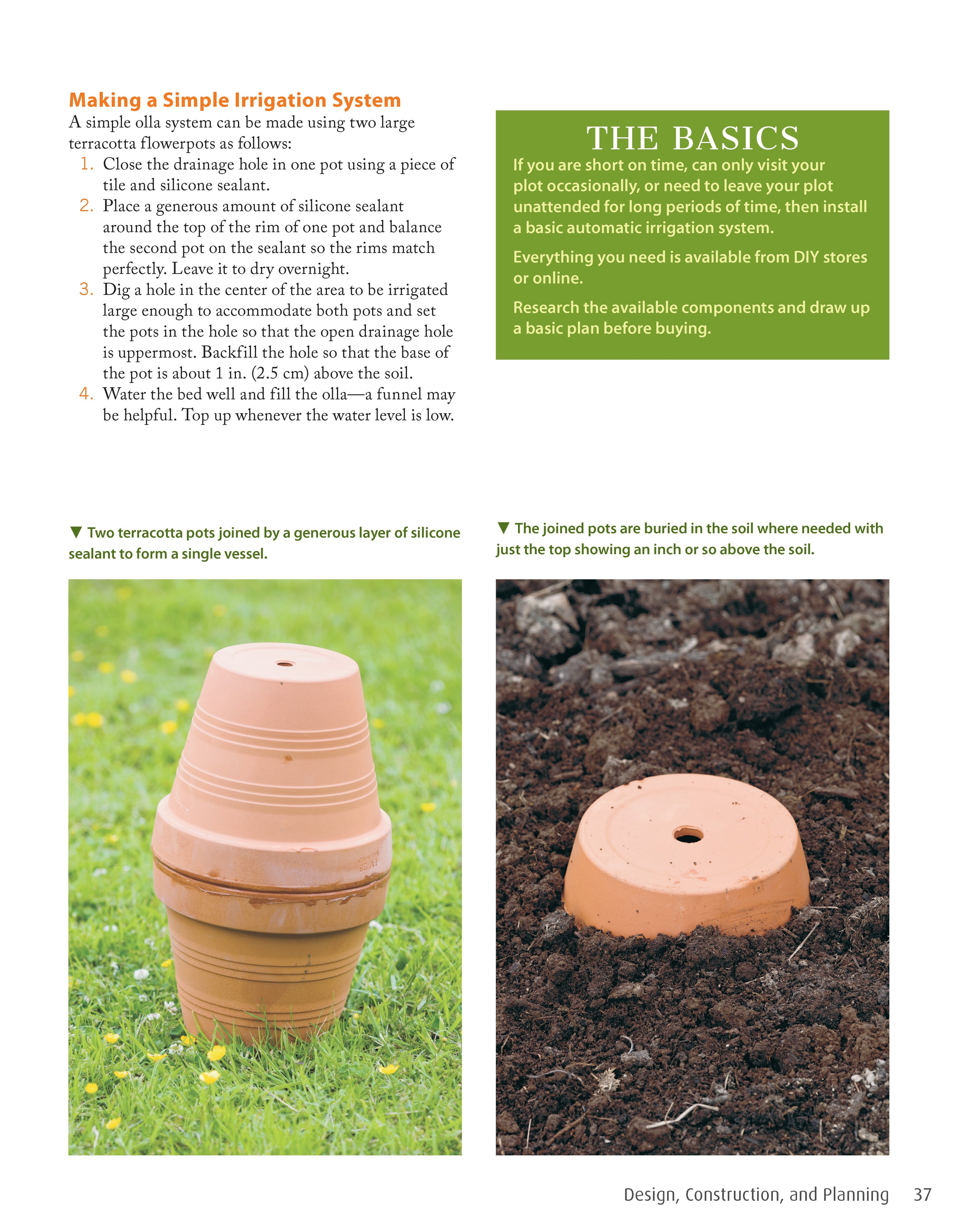 Low-Maintenance Vegetable Gardening