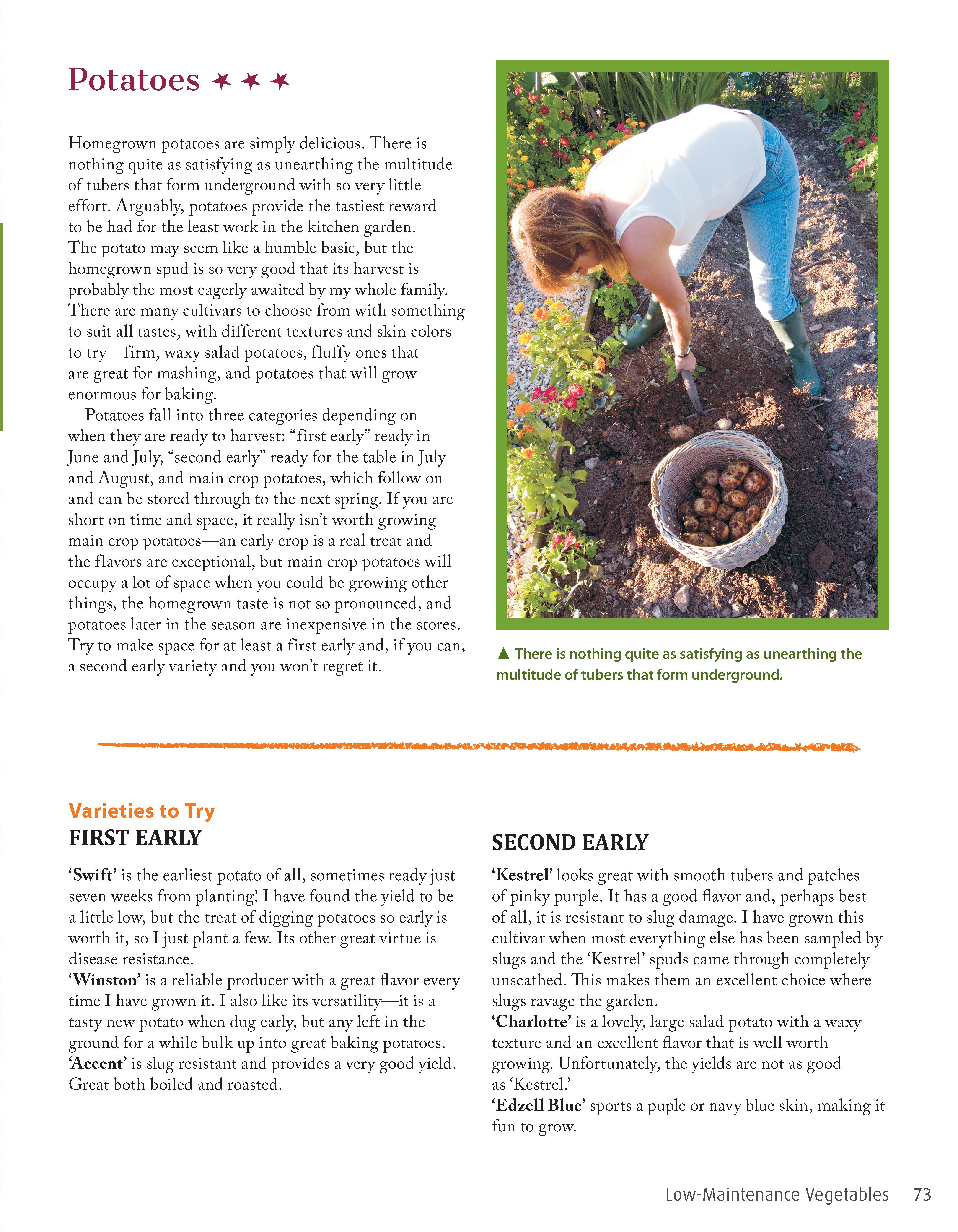 Low-Maintenance Vegetable Gardening