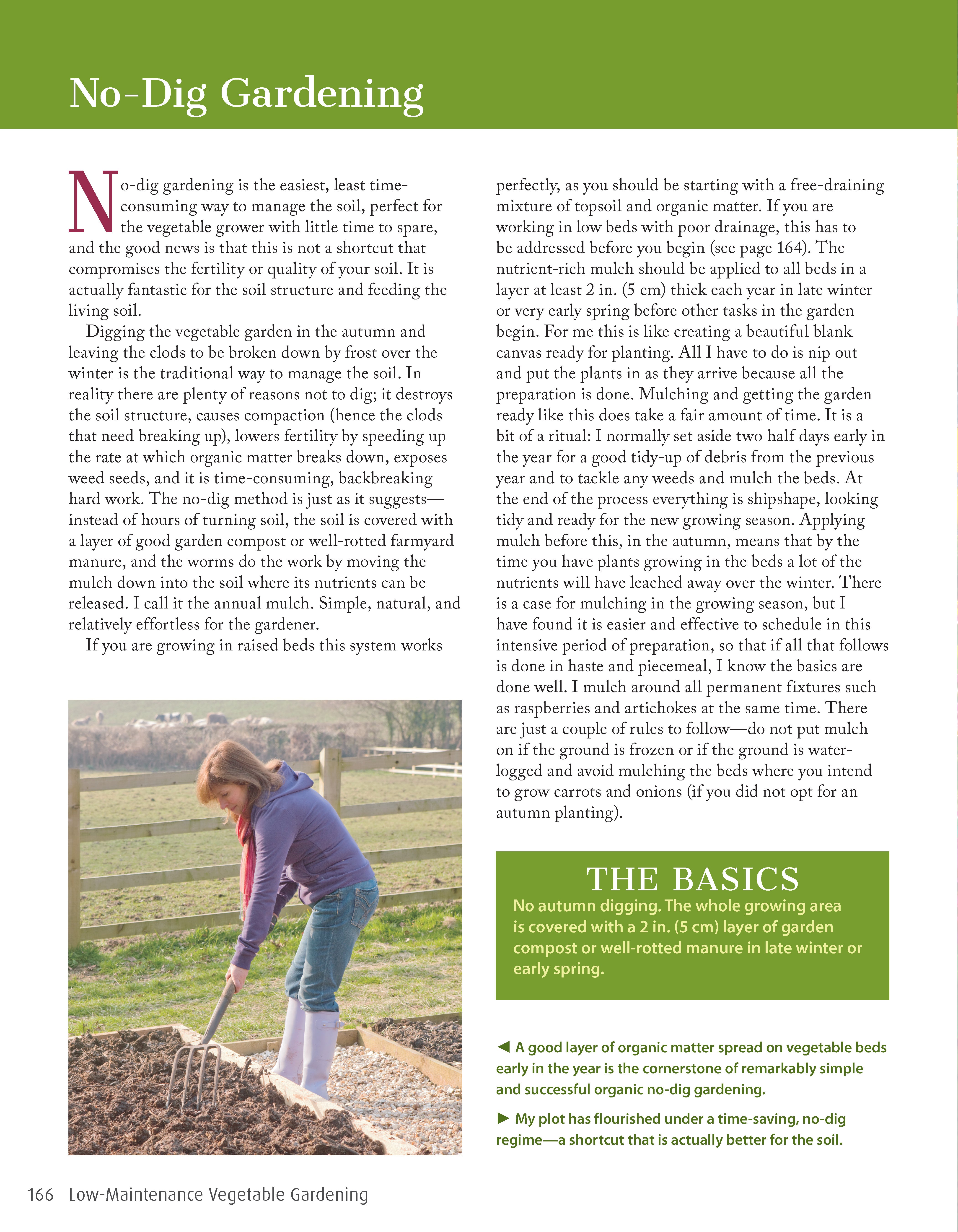 Low-Maintenance Vegetable Gardening