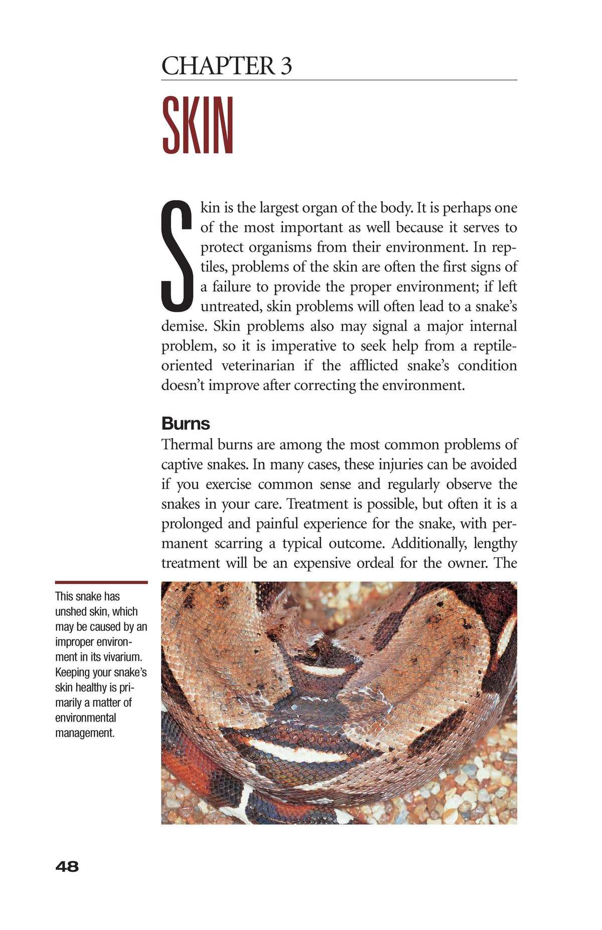 Whats Wrong With My Snake? (advanced Vivarium Systems)