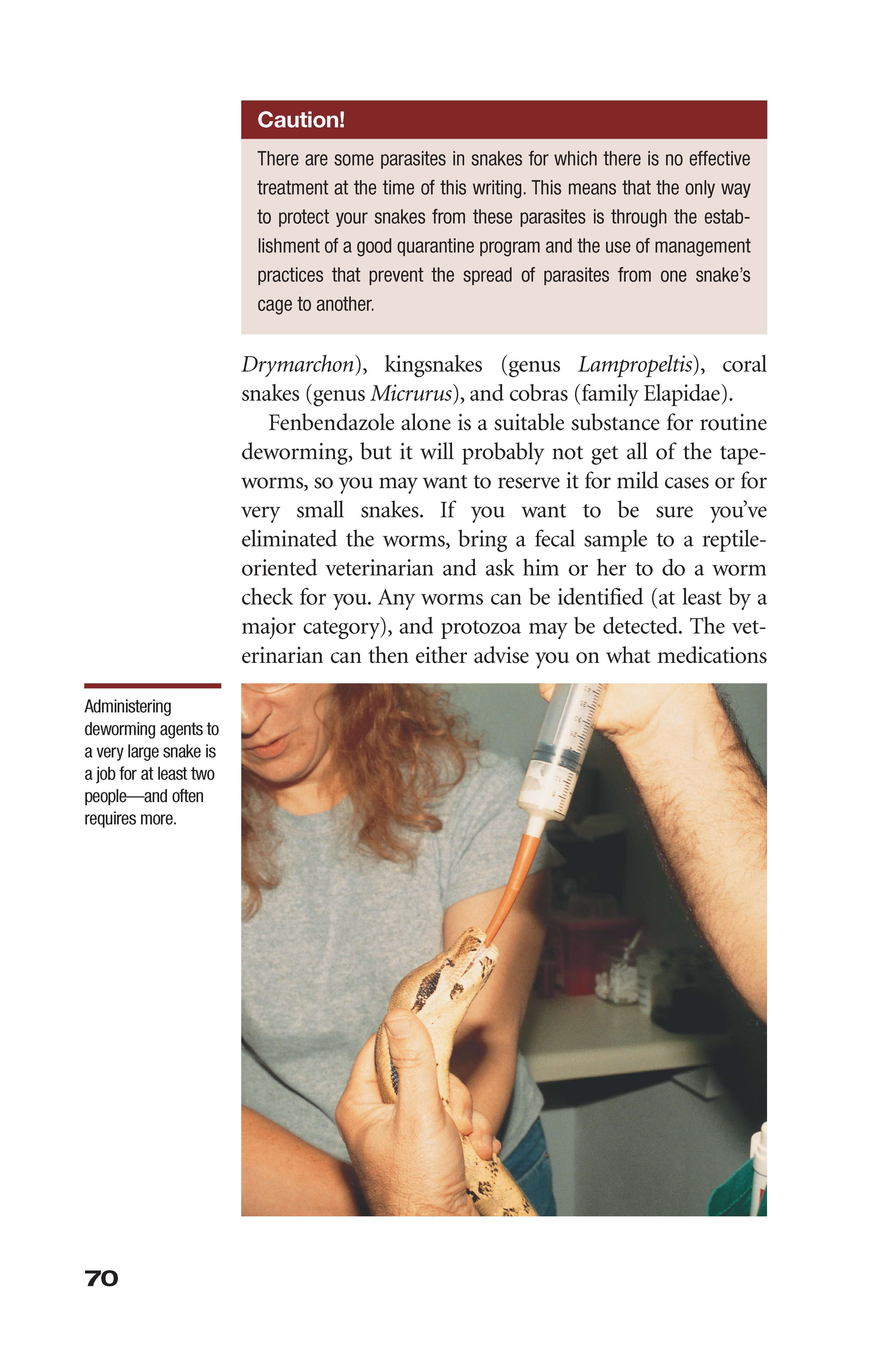 What's Wrong With My Snake? (advanced Vivarium Systems)