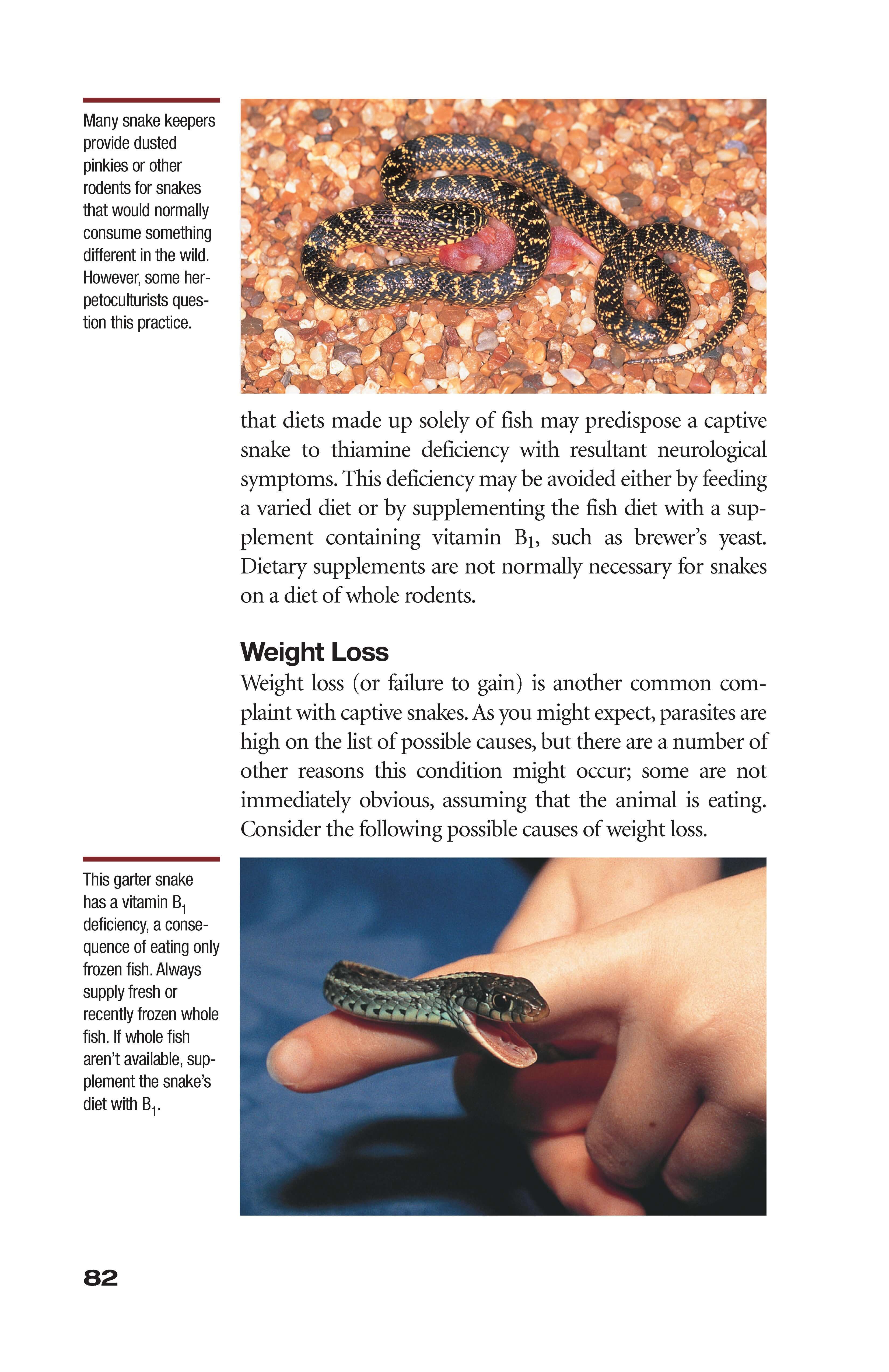 What's Wrong With My Snake? (advanced Vivarium Systems)