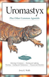 Uromastyx (Advanced Vivarium Systems)