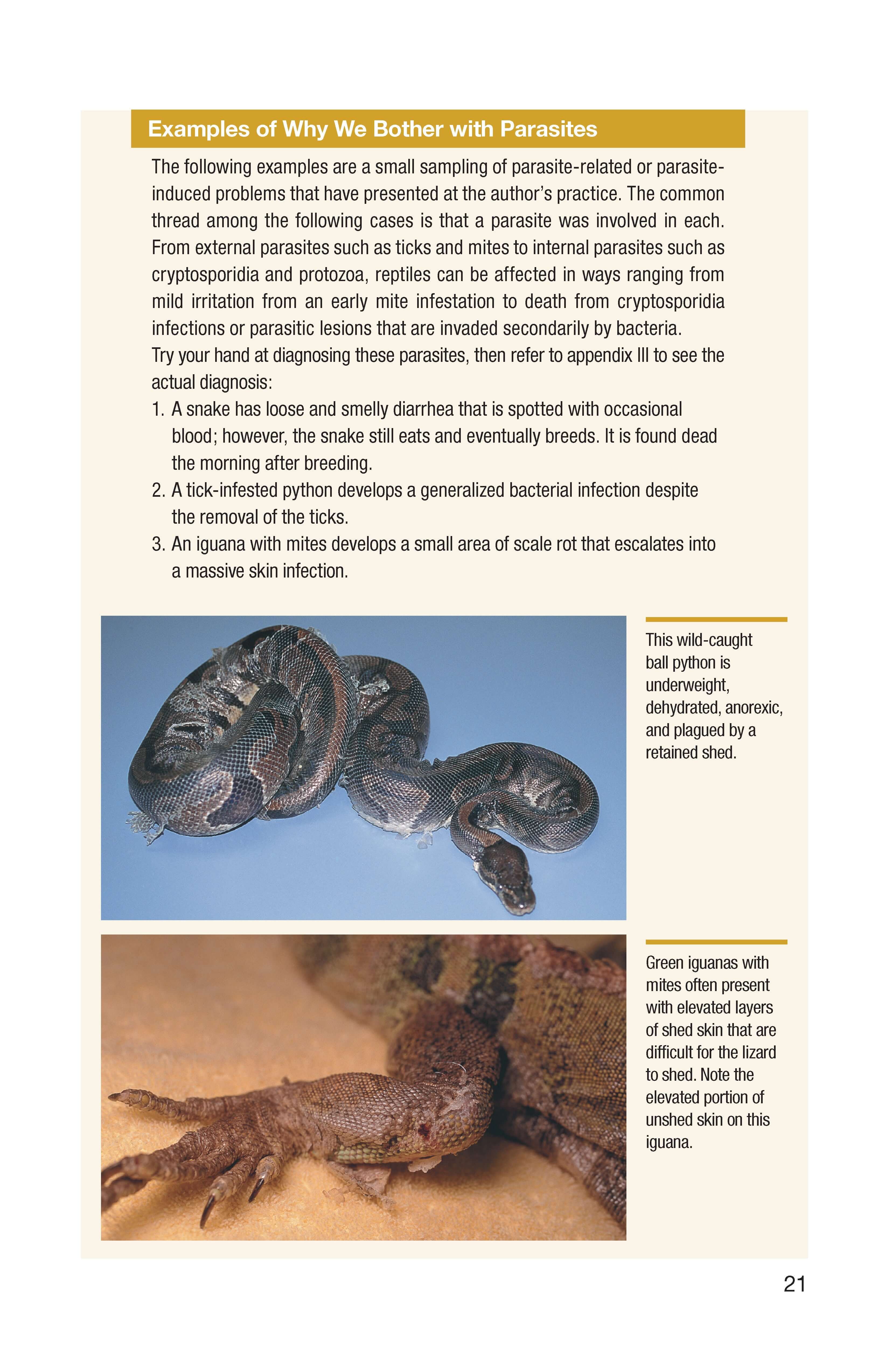 Understanding Reptile Parasites (Advanced Vivarium Systems)