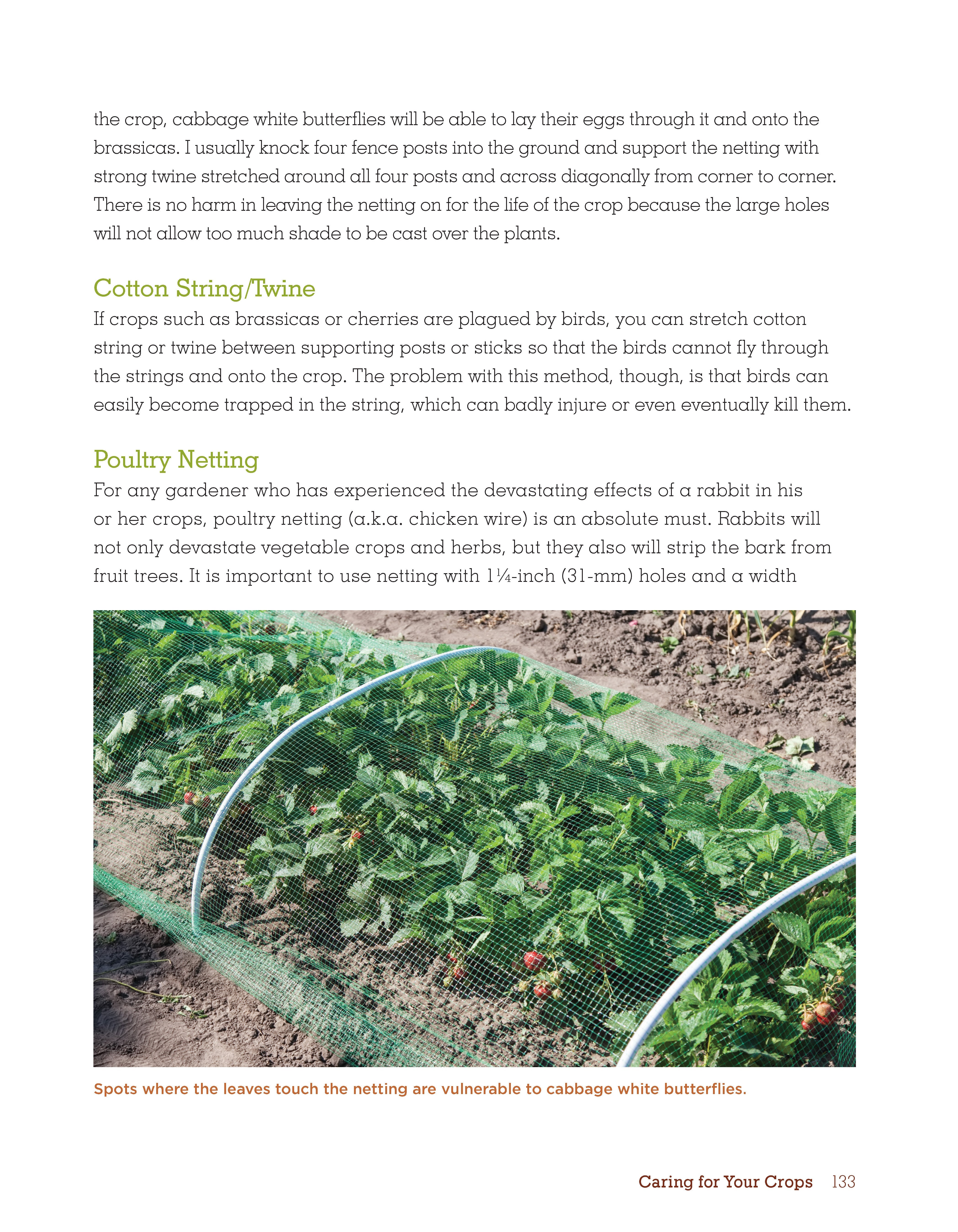 Organic Gardening Techniques