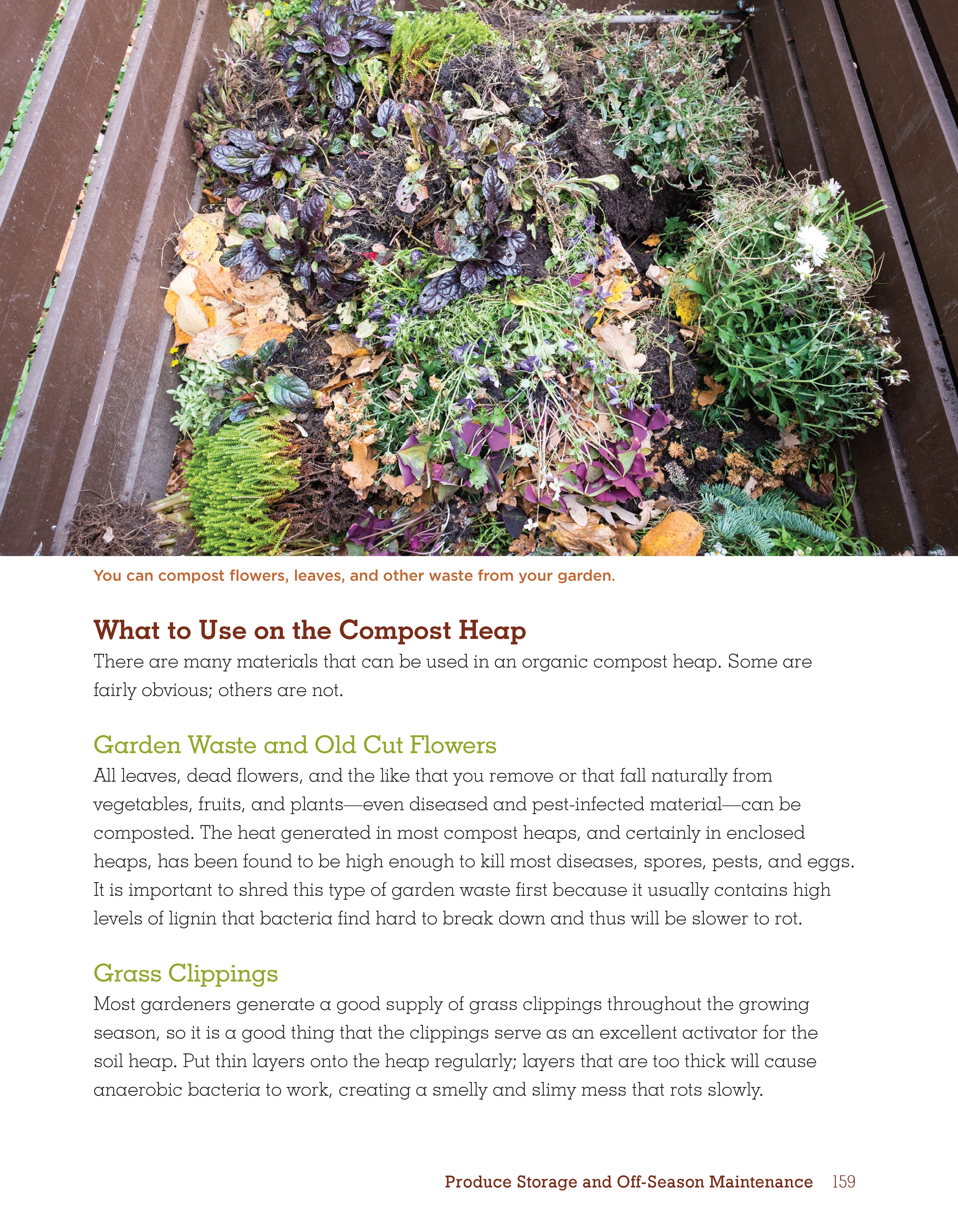 Organic Gardening Techniques