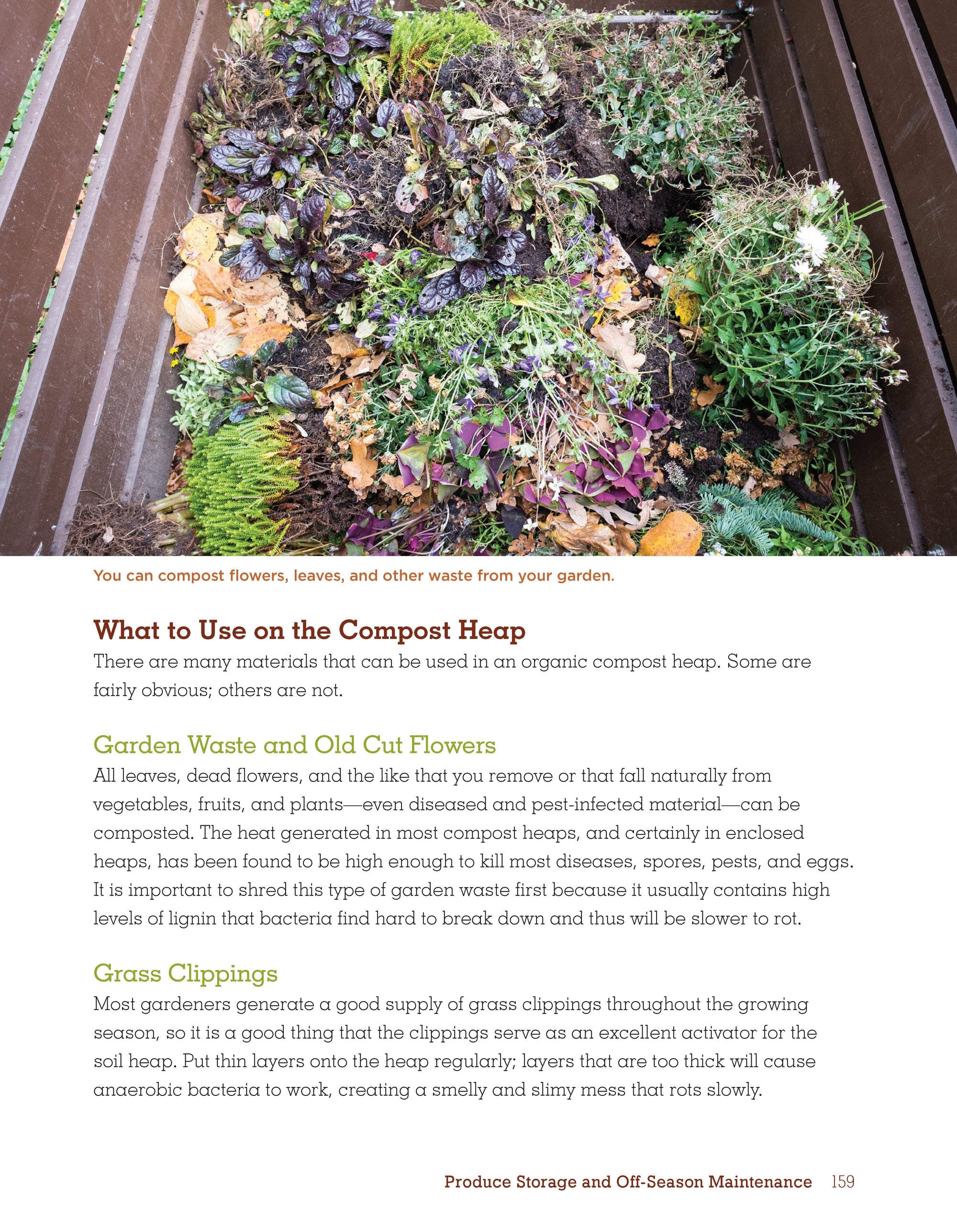 Organic Gardening Techniques