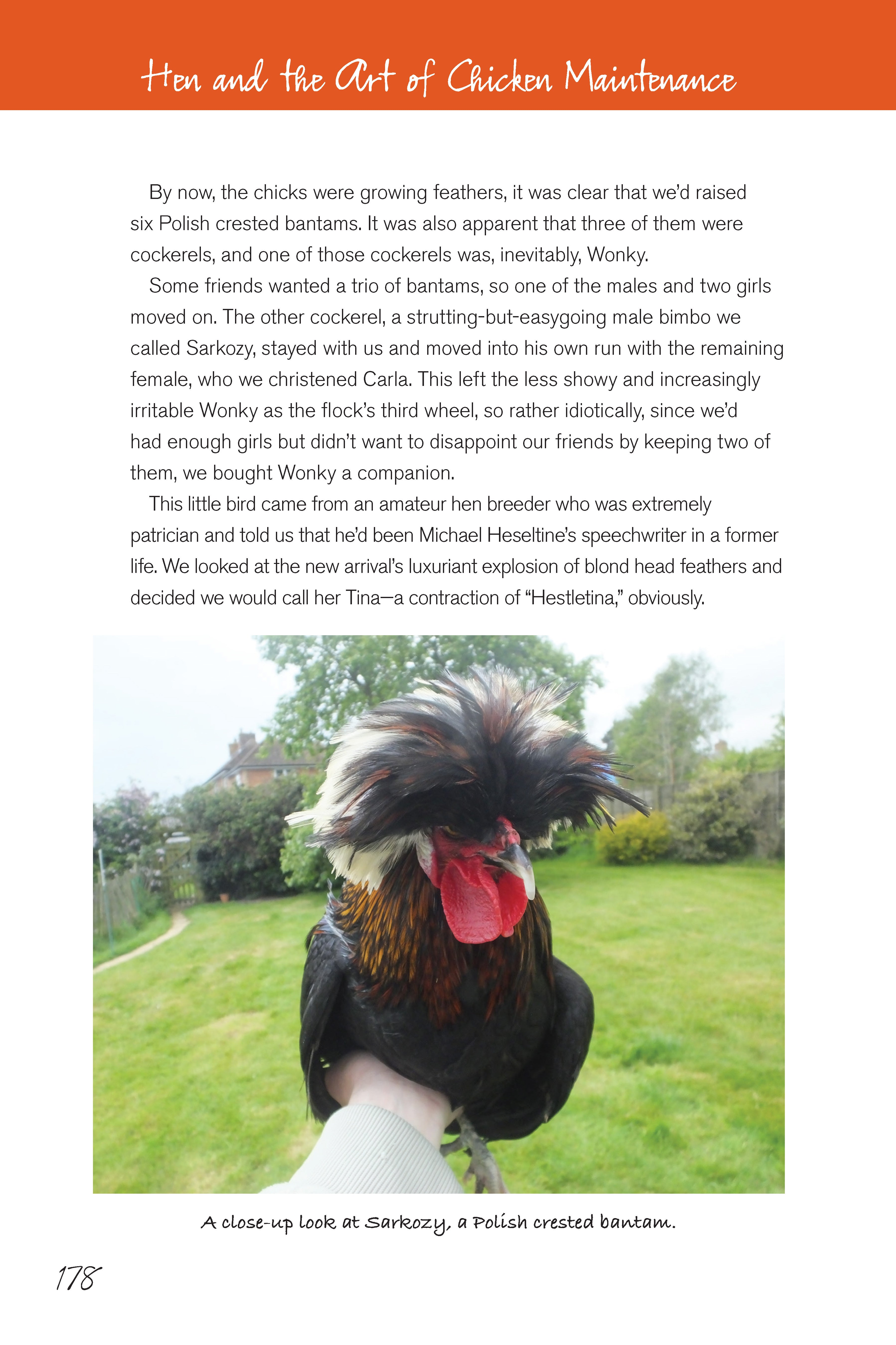 Hen and the Art of Chicken Maintenance