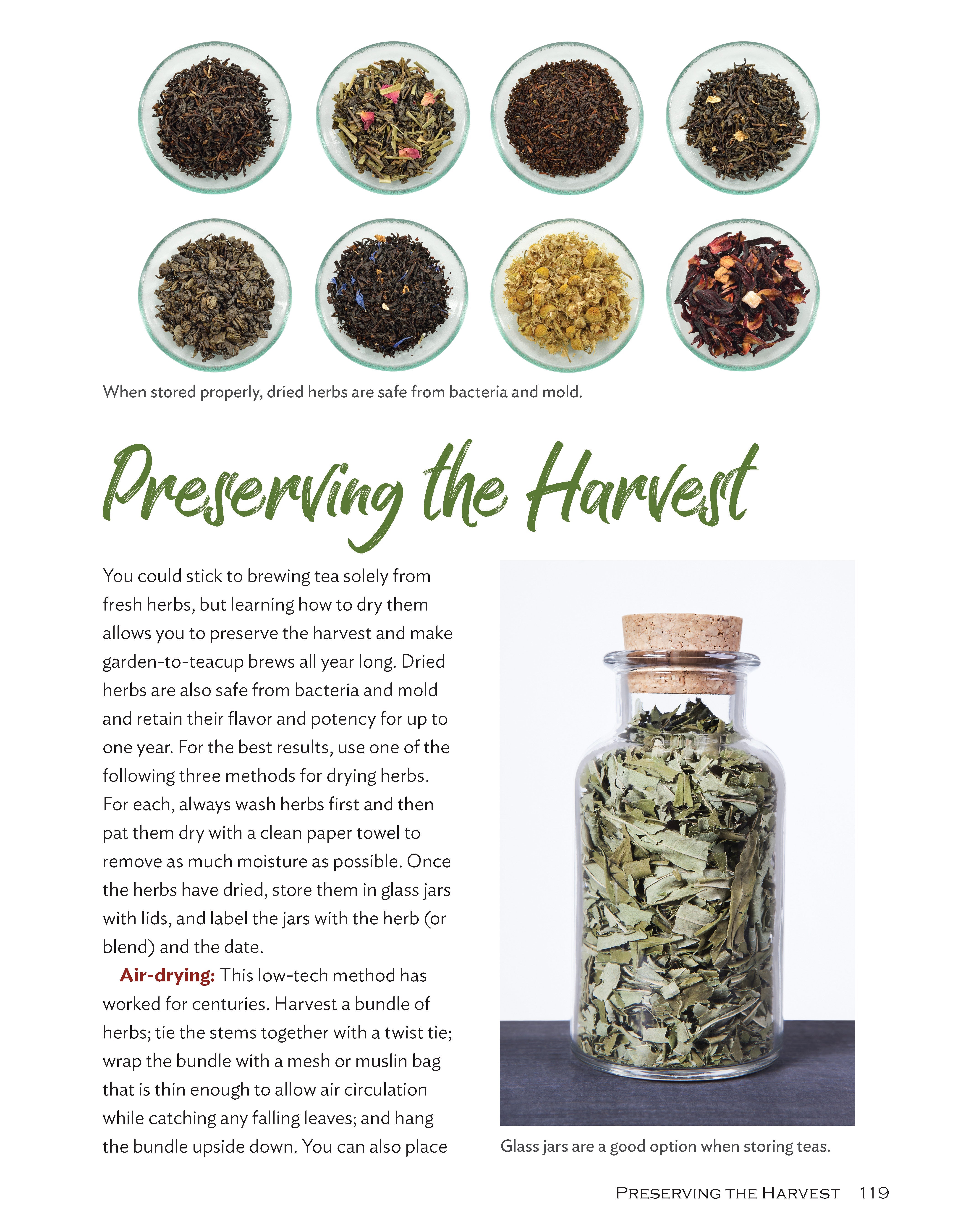 Growing Your Own Tea Garden