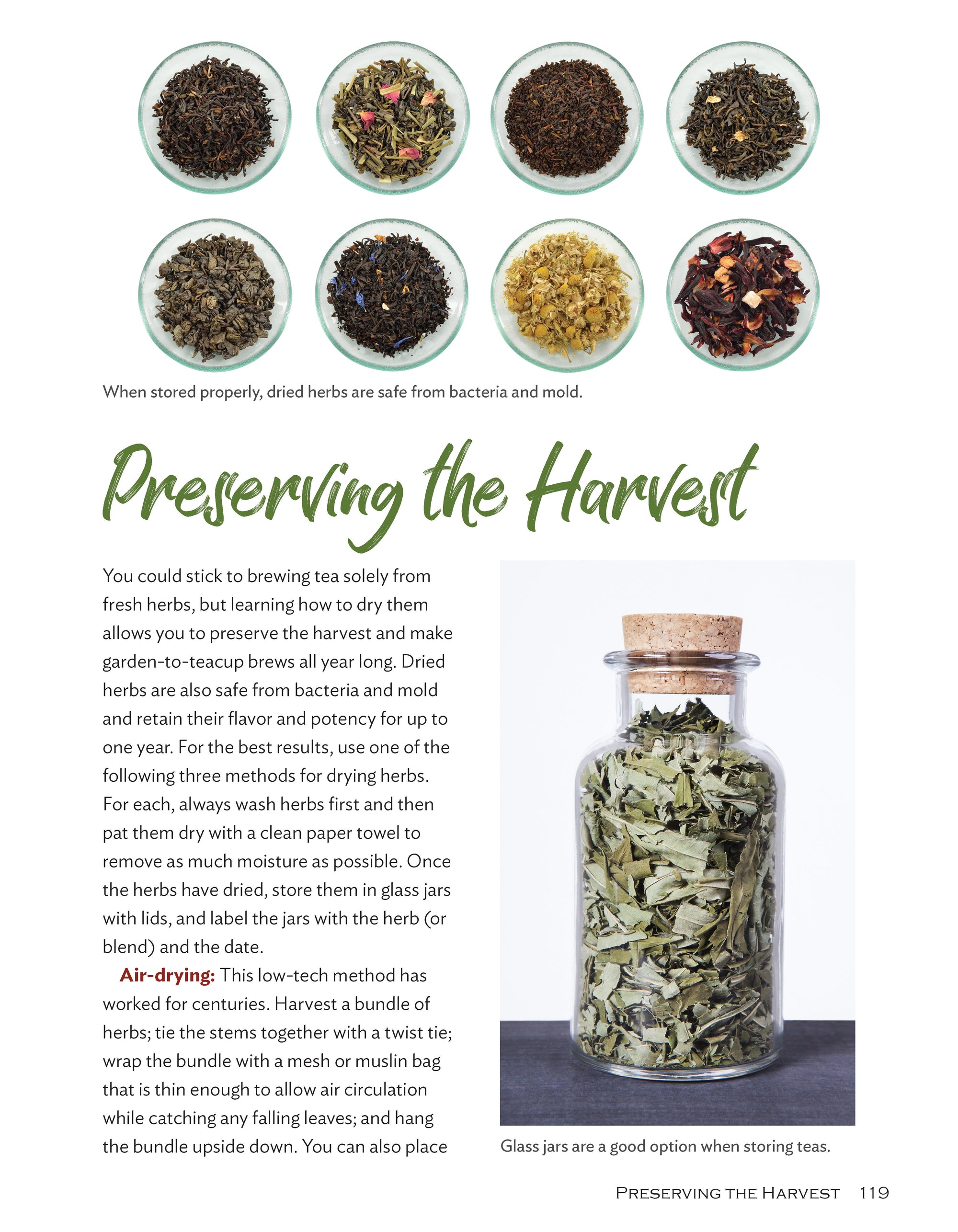 Growing Your Own Tea Garden