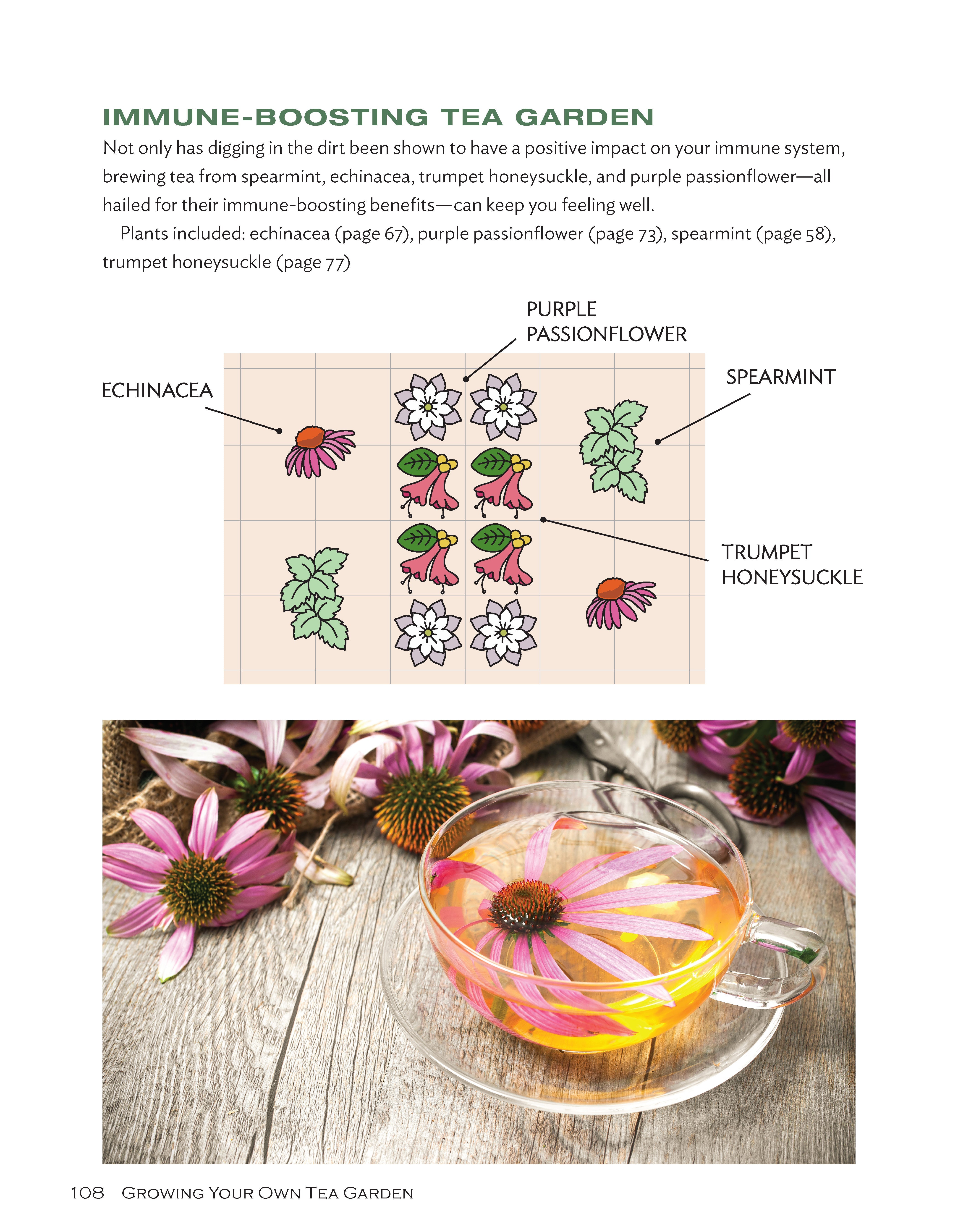 Growing Your Own Tea Garden