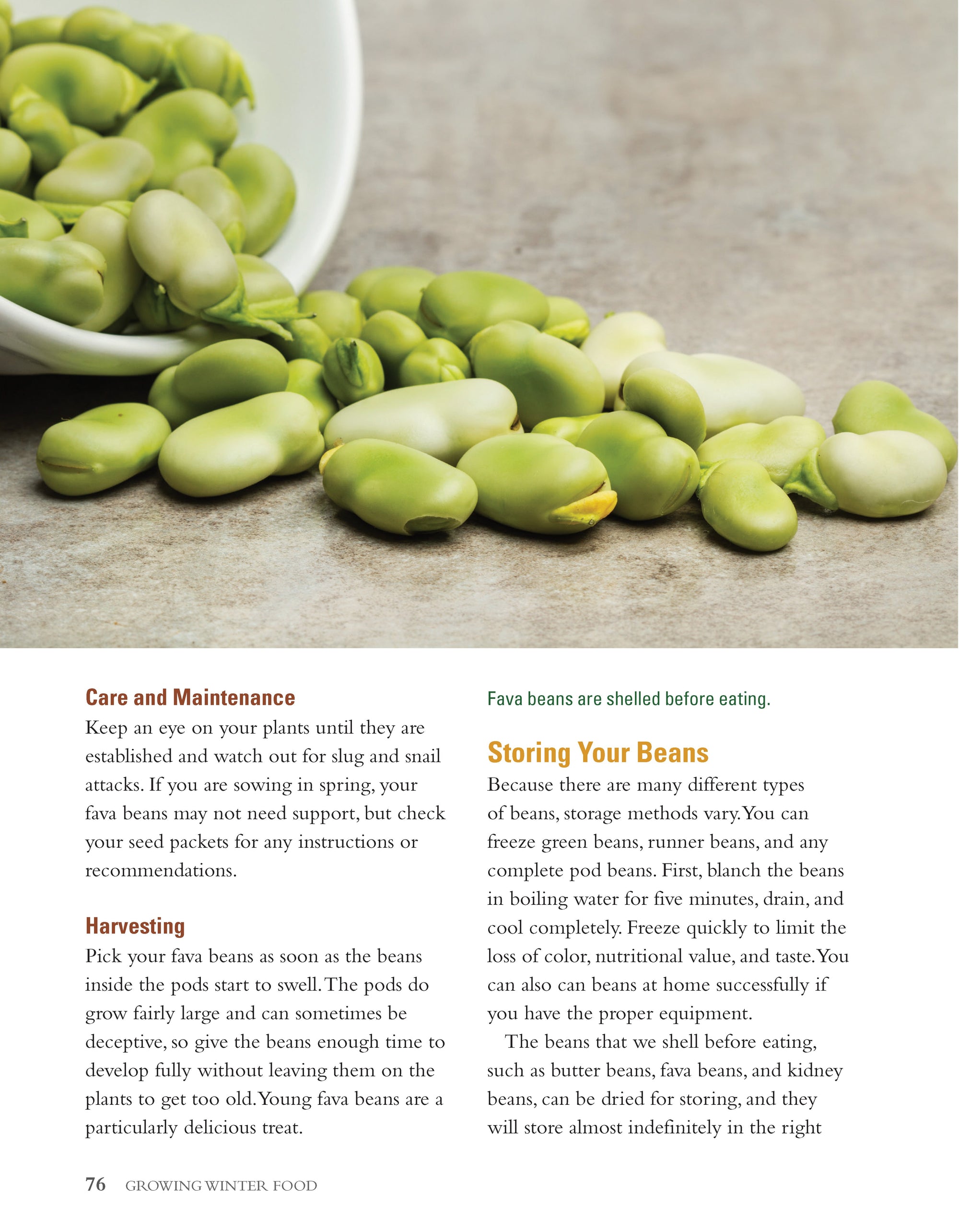 Growing Winter Food