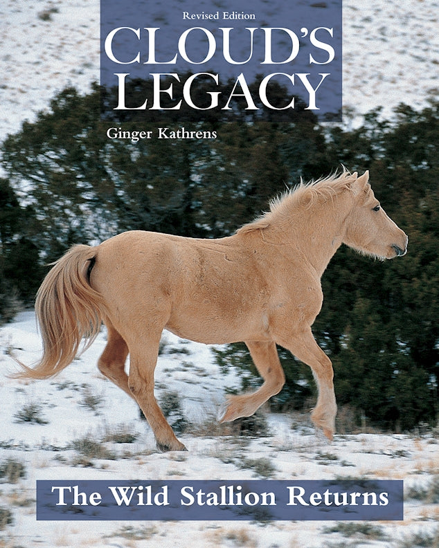 Clouds Legacy