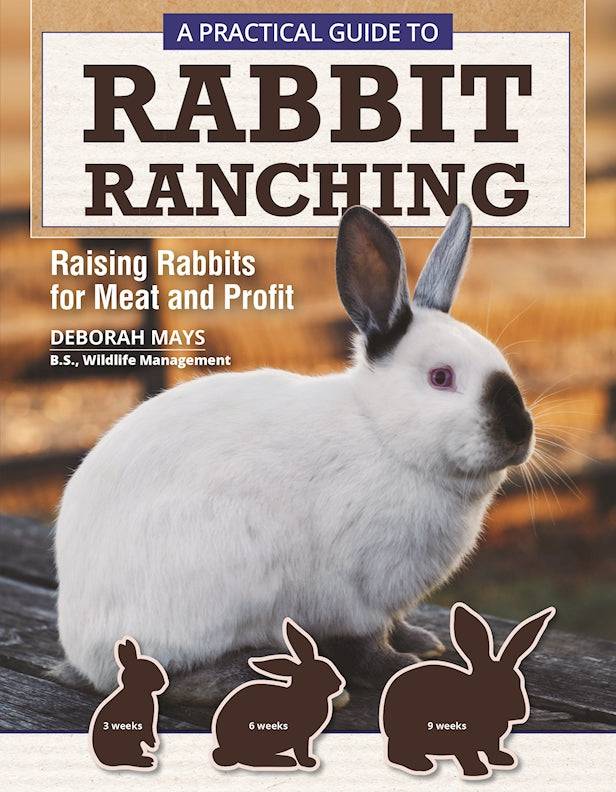 Cover of A Practical Guide to Rabbit Ranching – Paperback / softback, ISBN 9781620083642