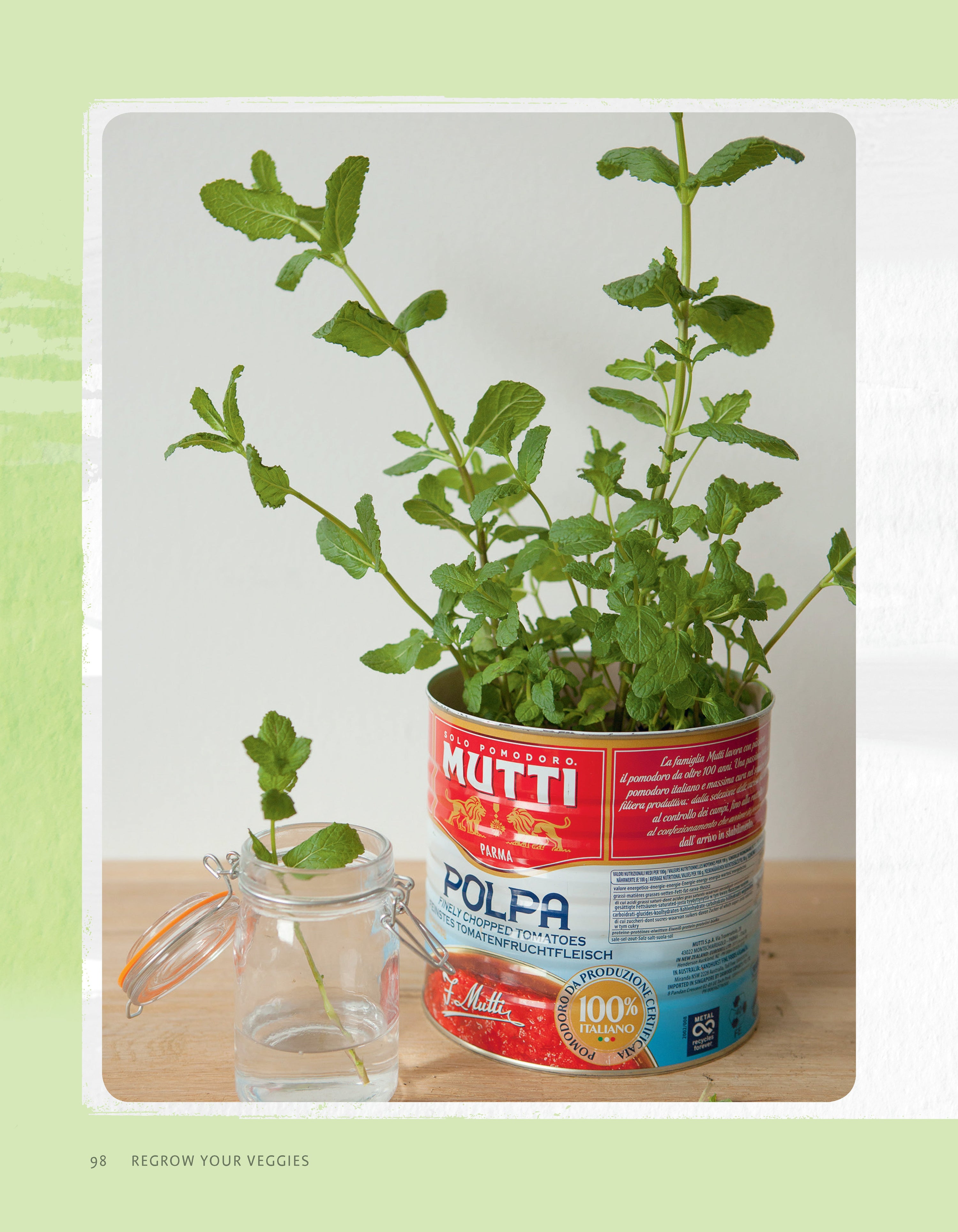 Regrow Your Veggies