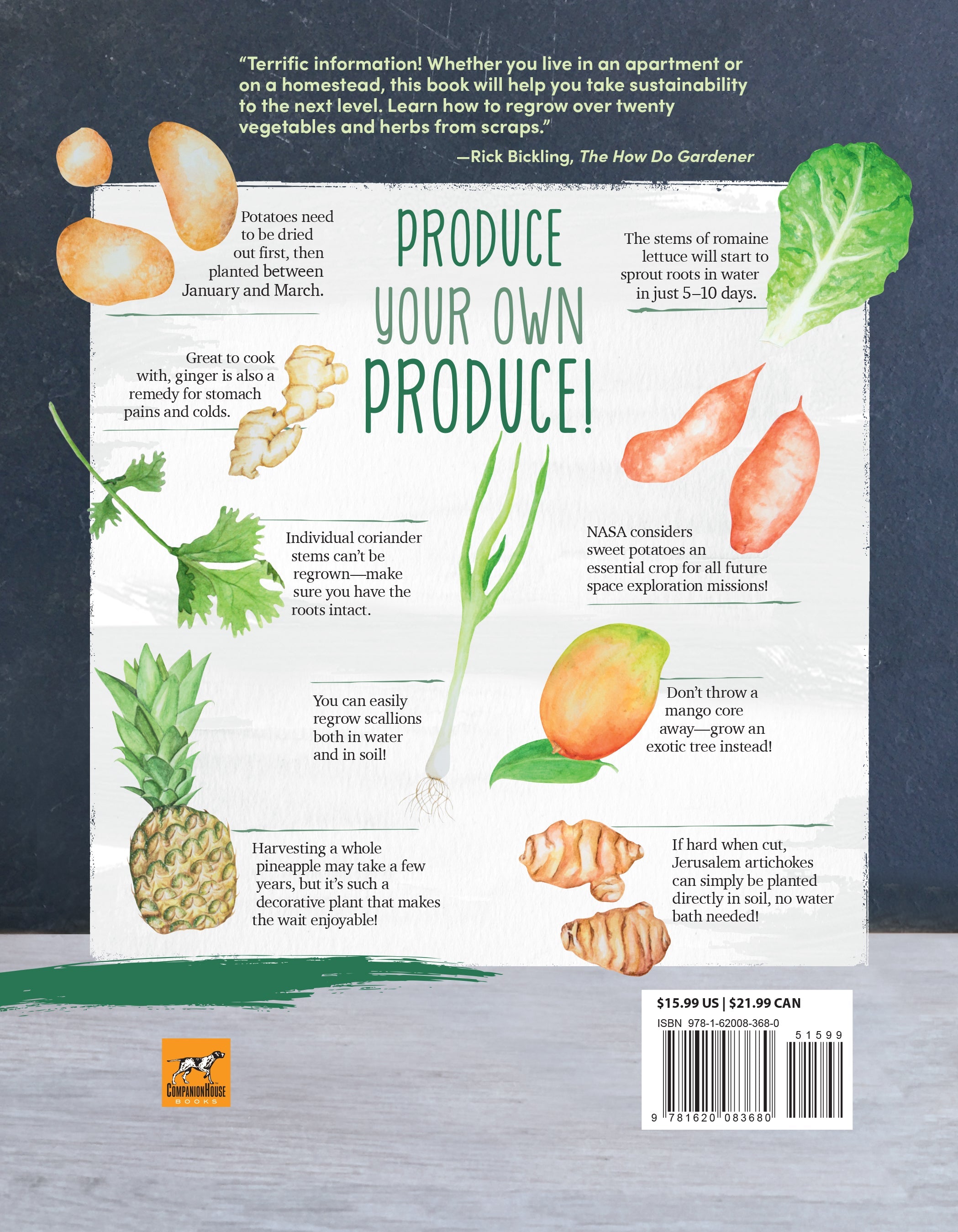 Regrow Your Veggies