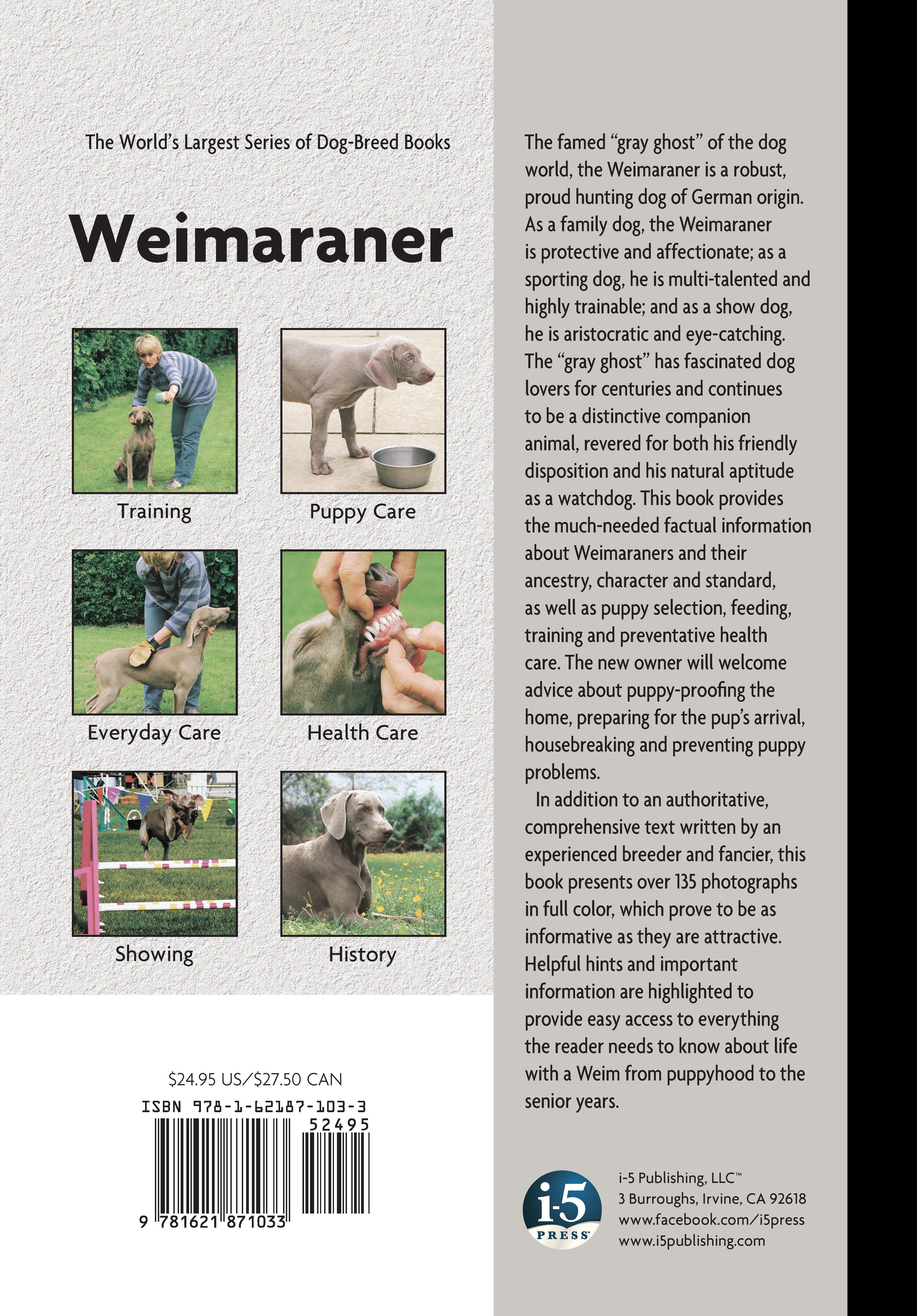 Weimaraner