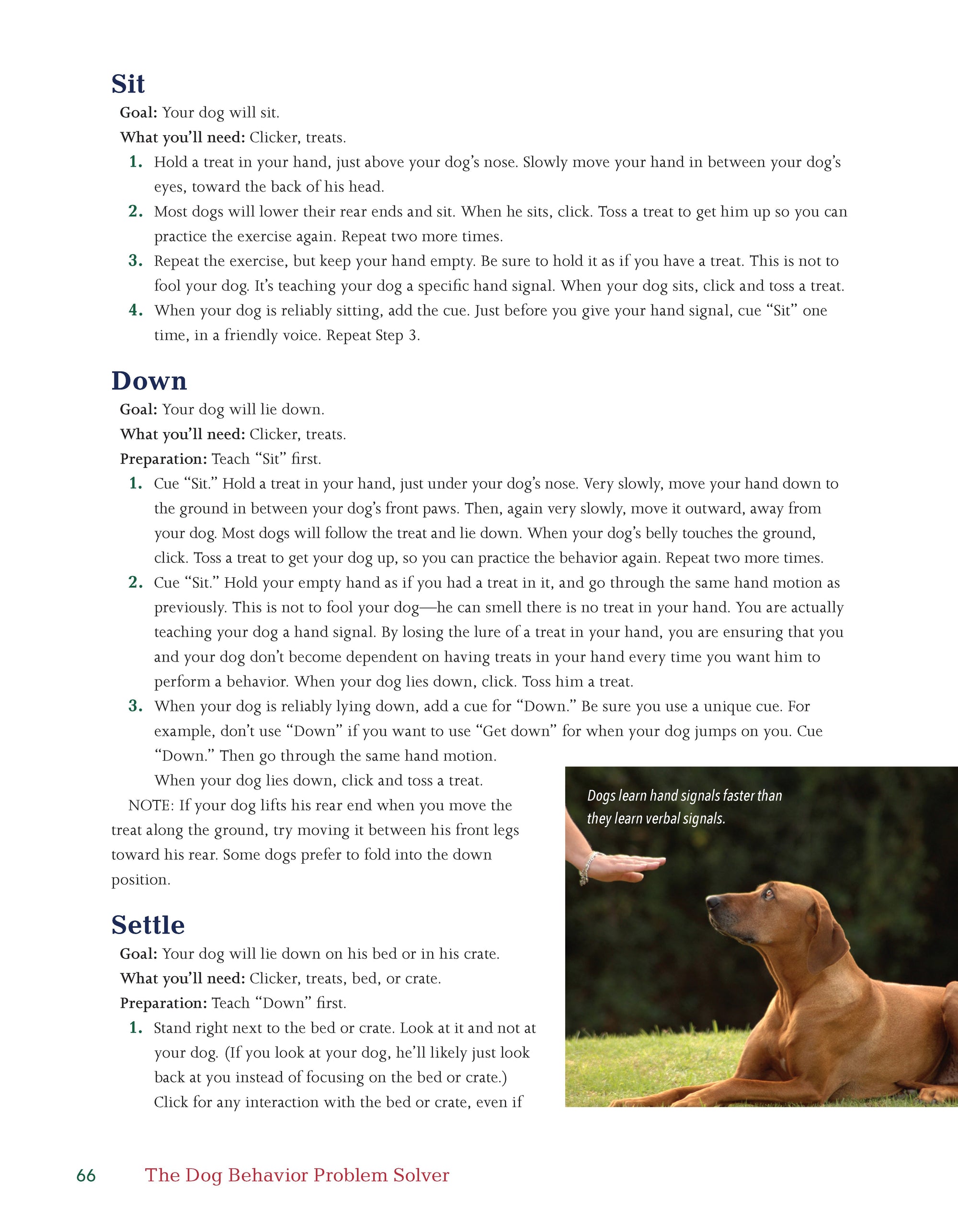 The Dog Behavior Problem Solver
