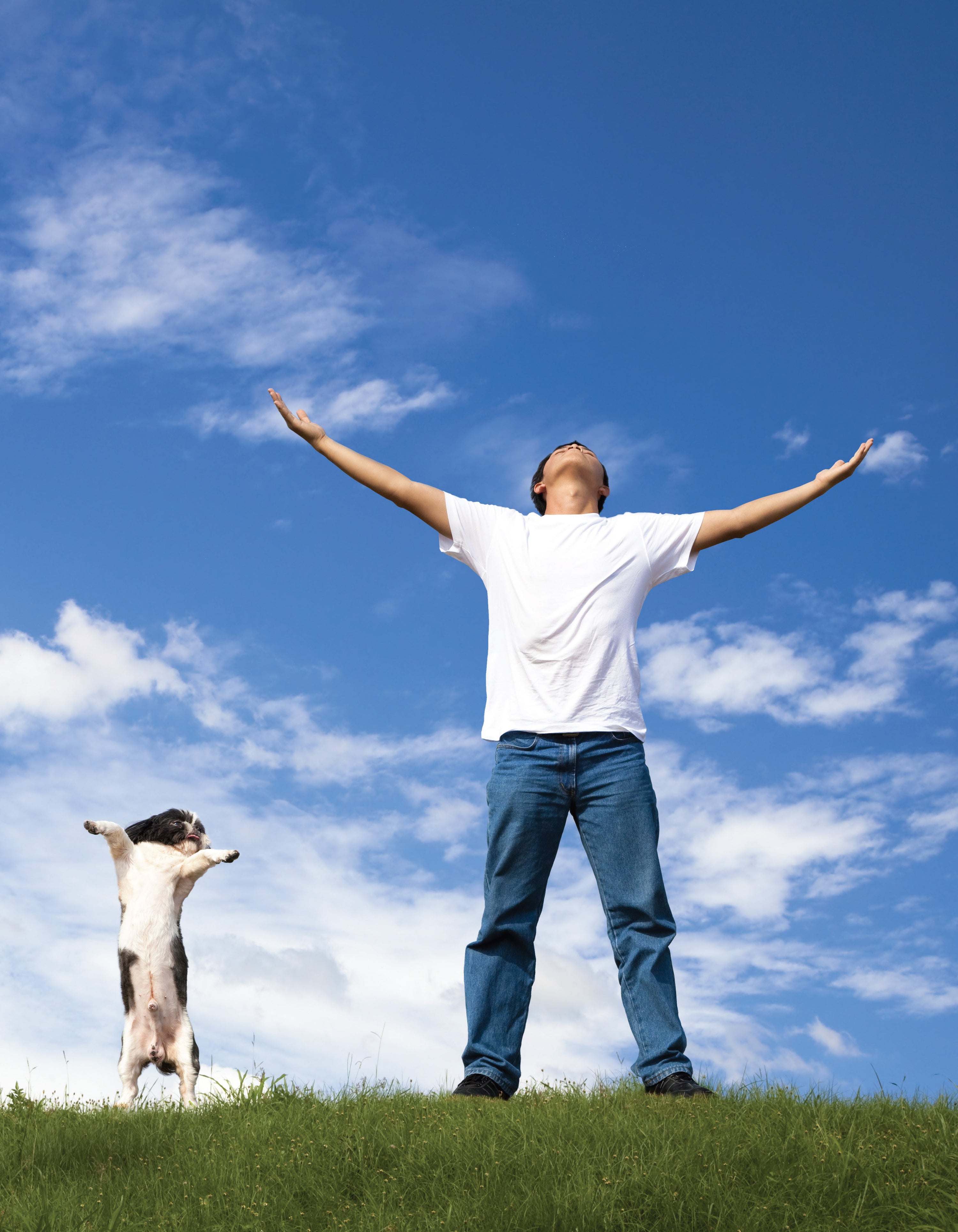 The Dog Behavior Problem Solver
