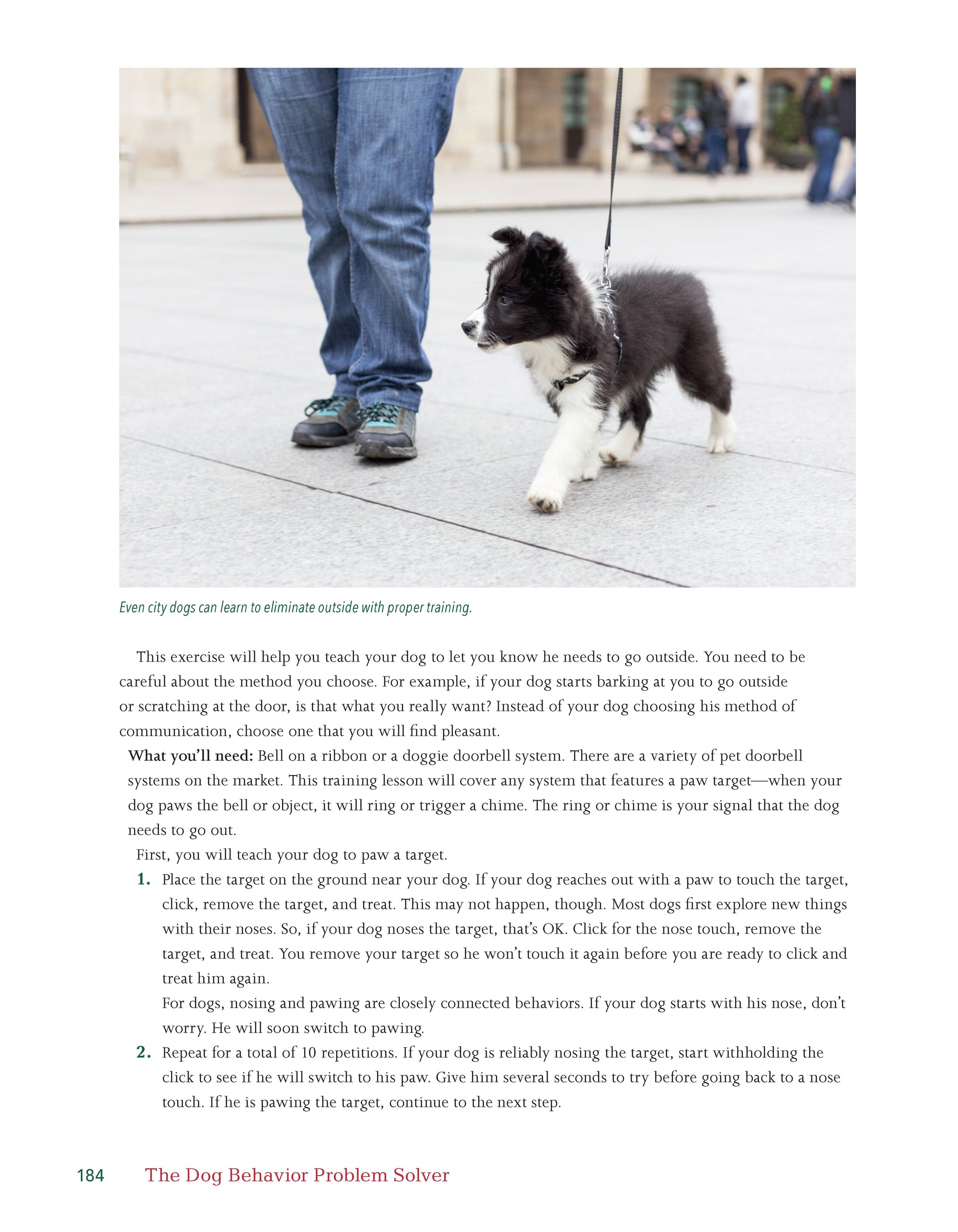 The Dog Behavior Problem Solver