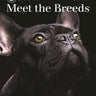Meet the Breeds