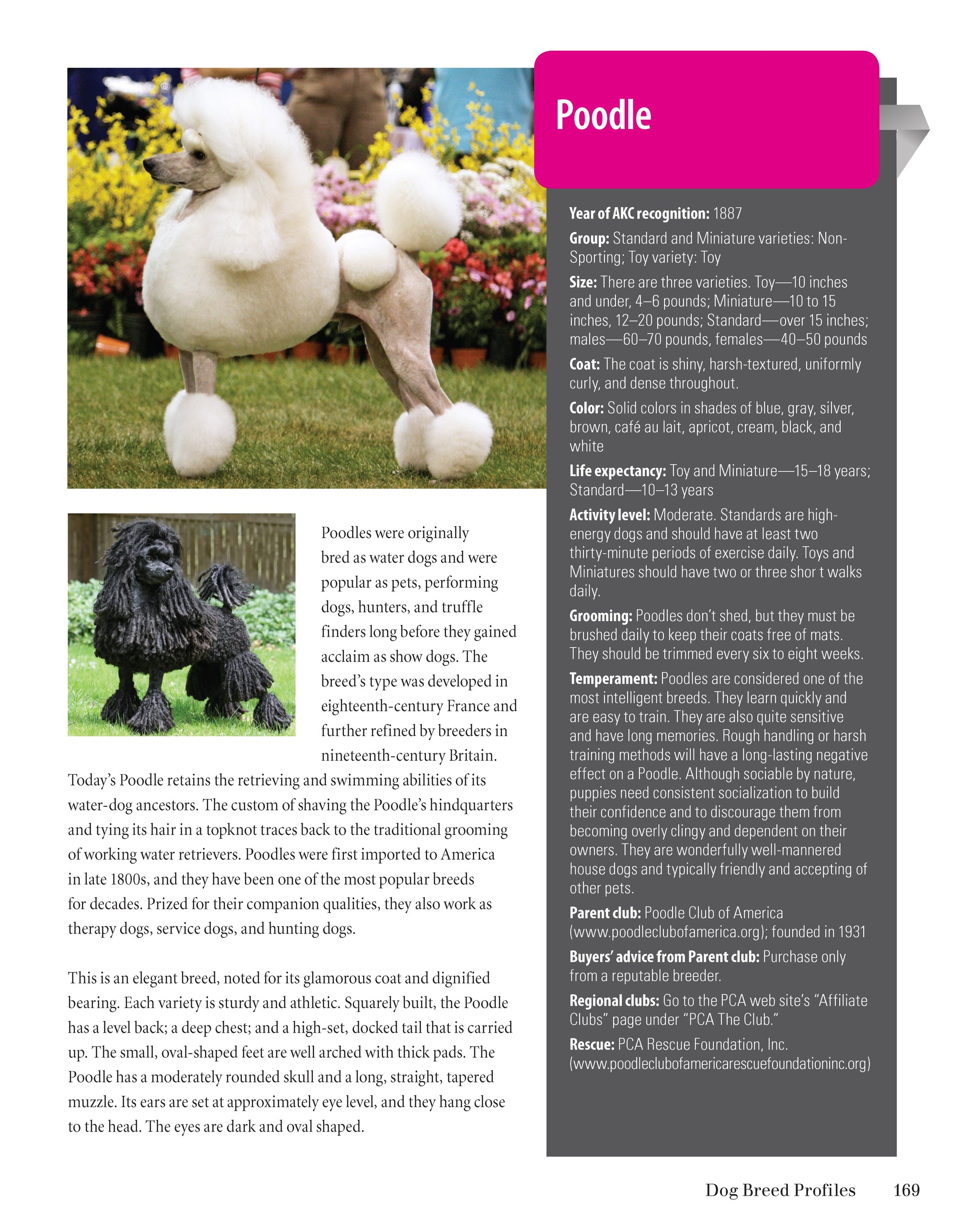 Meet the Breeds