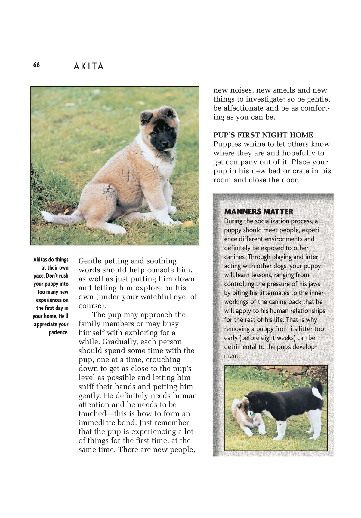 Akita (Comprehensive Owners Guide)