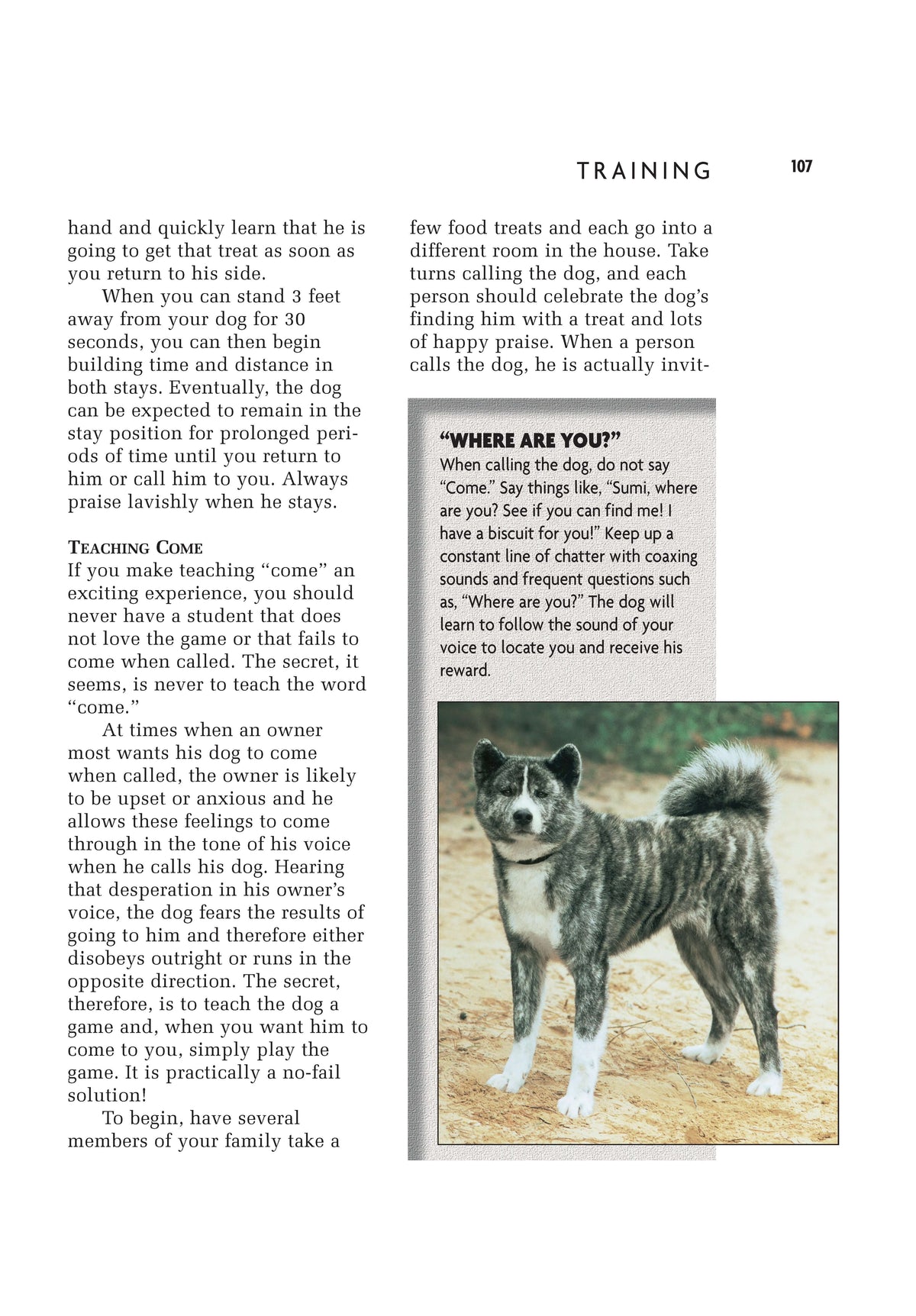 Akita (Comprehensive Owners Guide)
