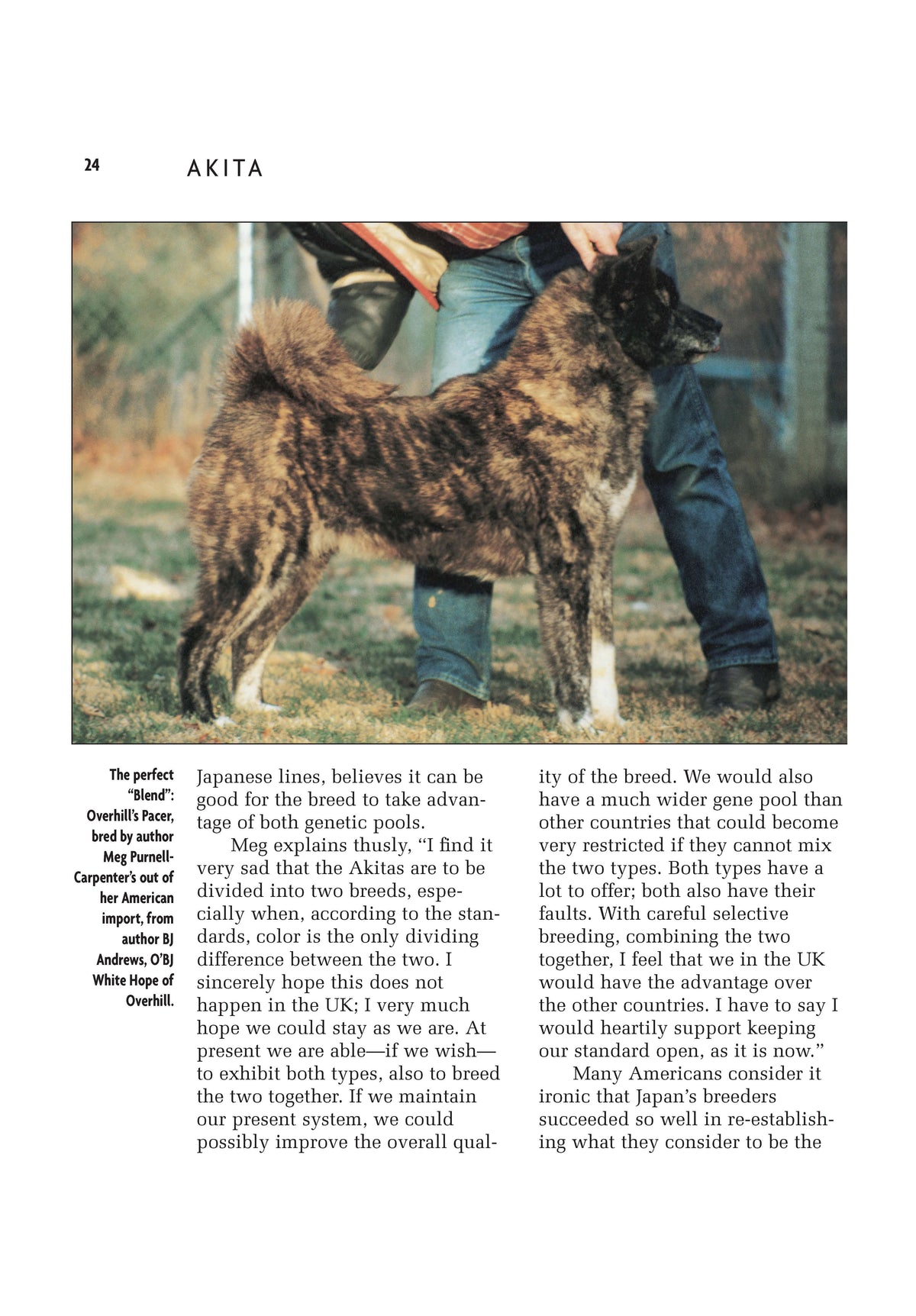 Akita (Comprehensive Owners Guide)