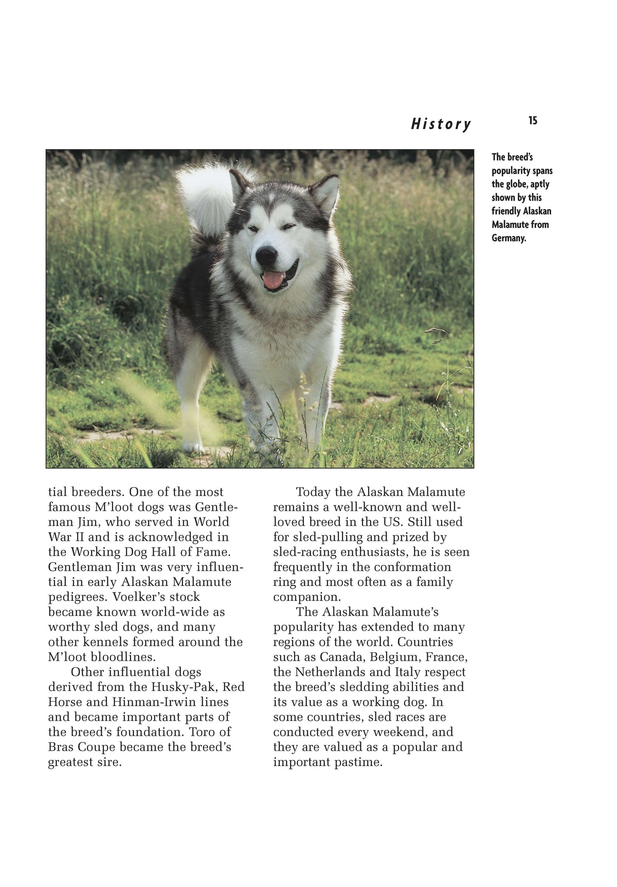 Alaskan Malamute (Comprehensive Owners Guide)