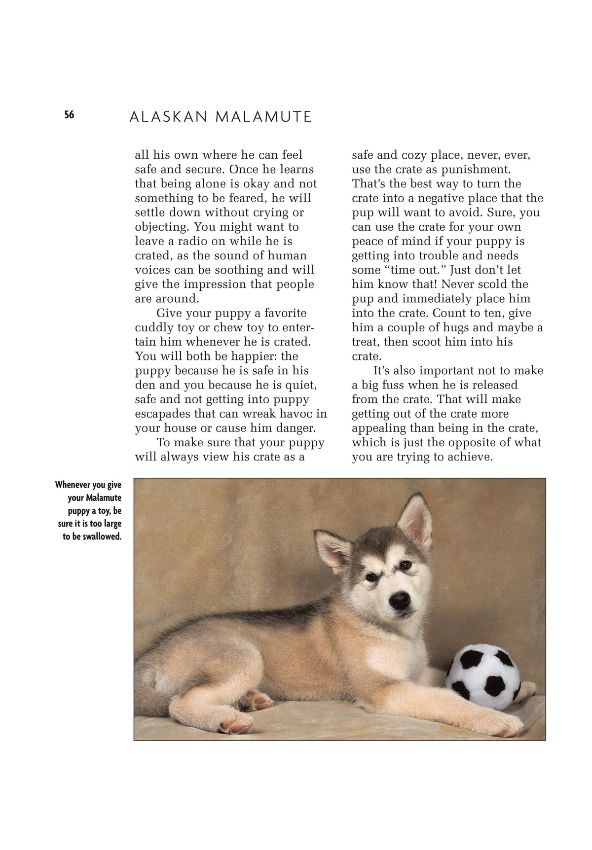 Alaskan Malamute (Comprehensive Owners Guide)