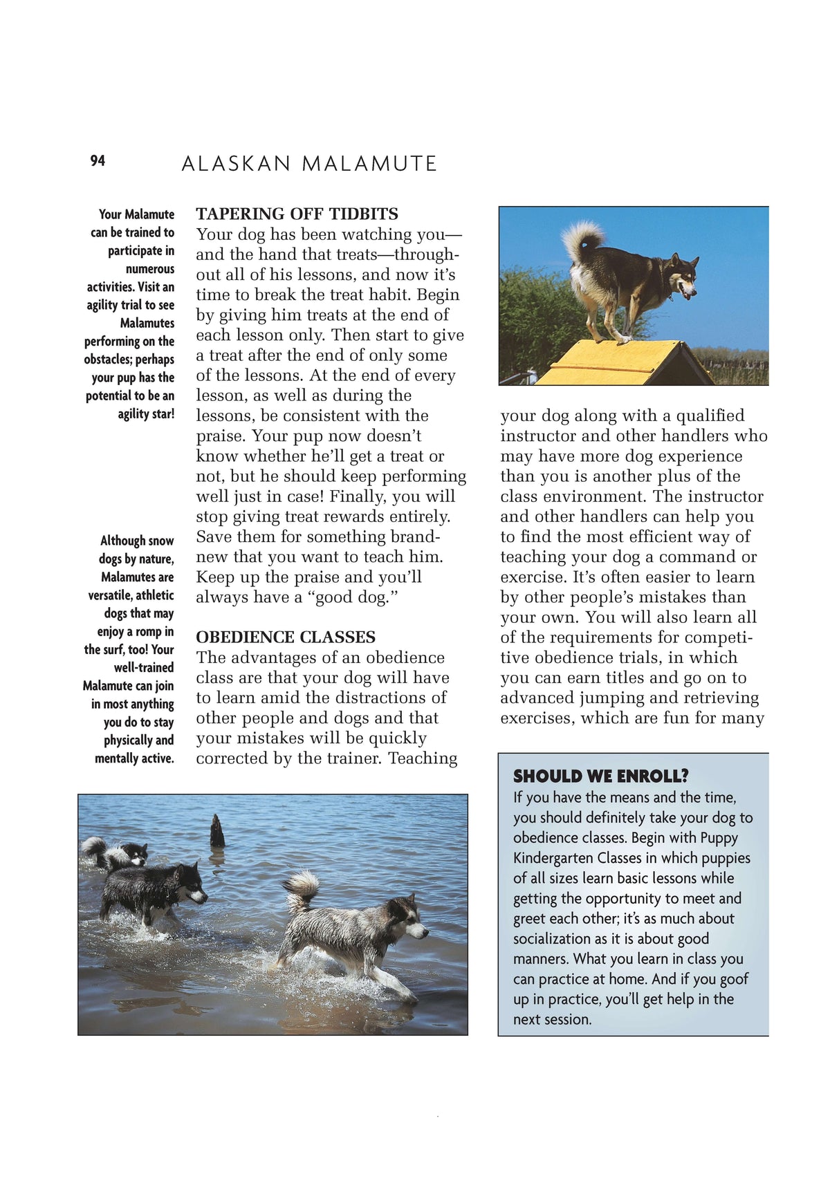 Alaskan Malamute (Comprehensive Owners Guide)
