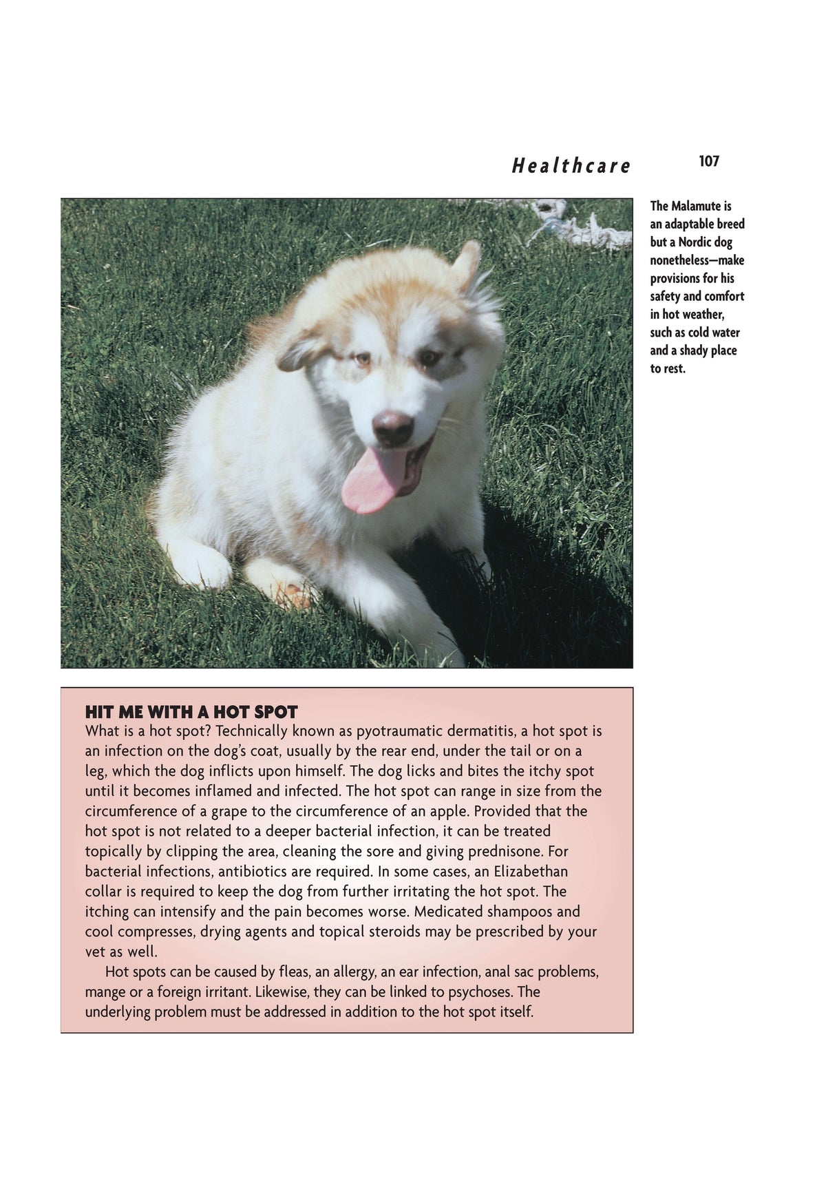 Alaskan Malamute (Comprehensive Owners Guide)