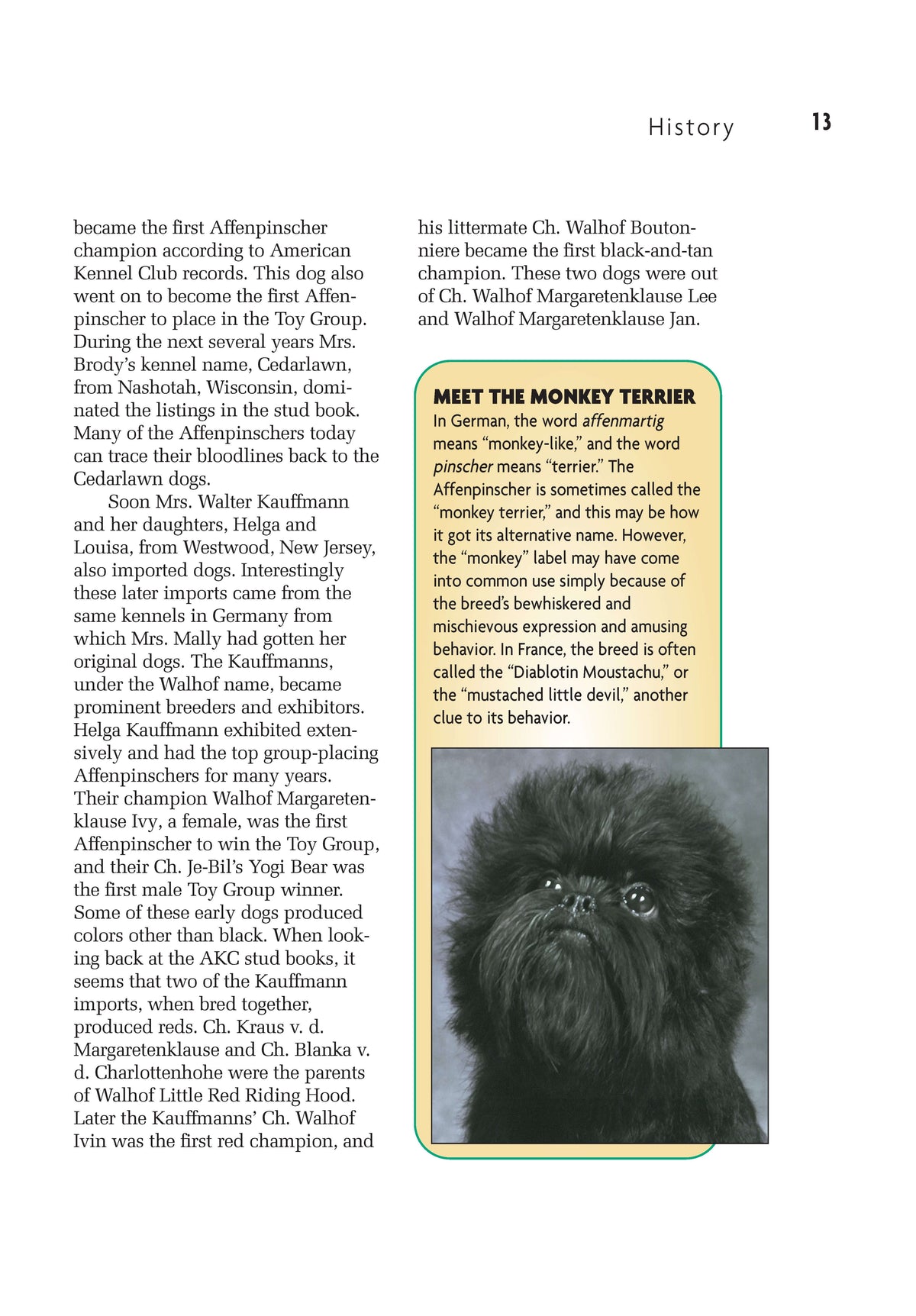 Affenpinscher (Comprehensive Owners Guide)