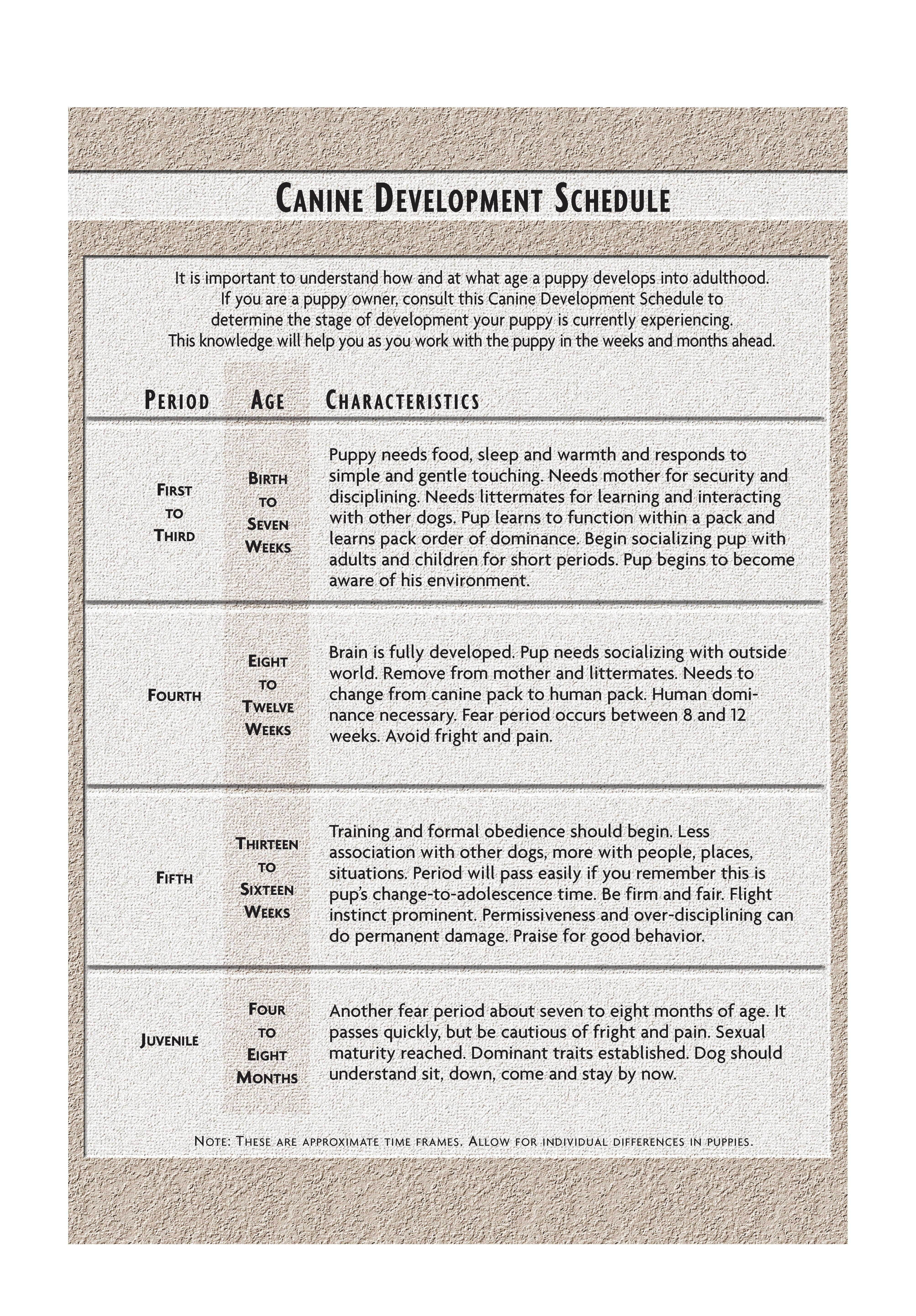 Affenpinscher (Comprehensive Owner's Guide)