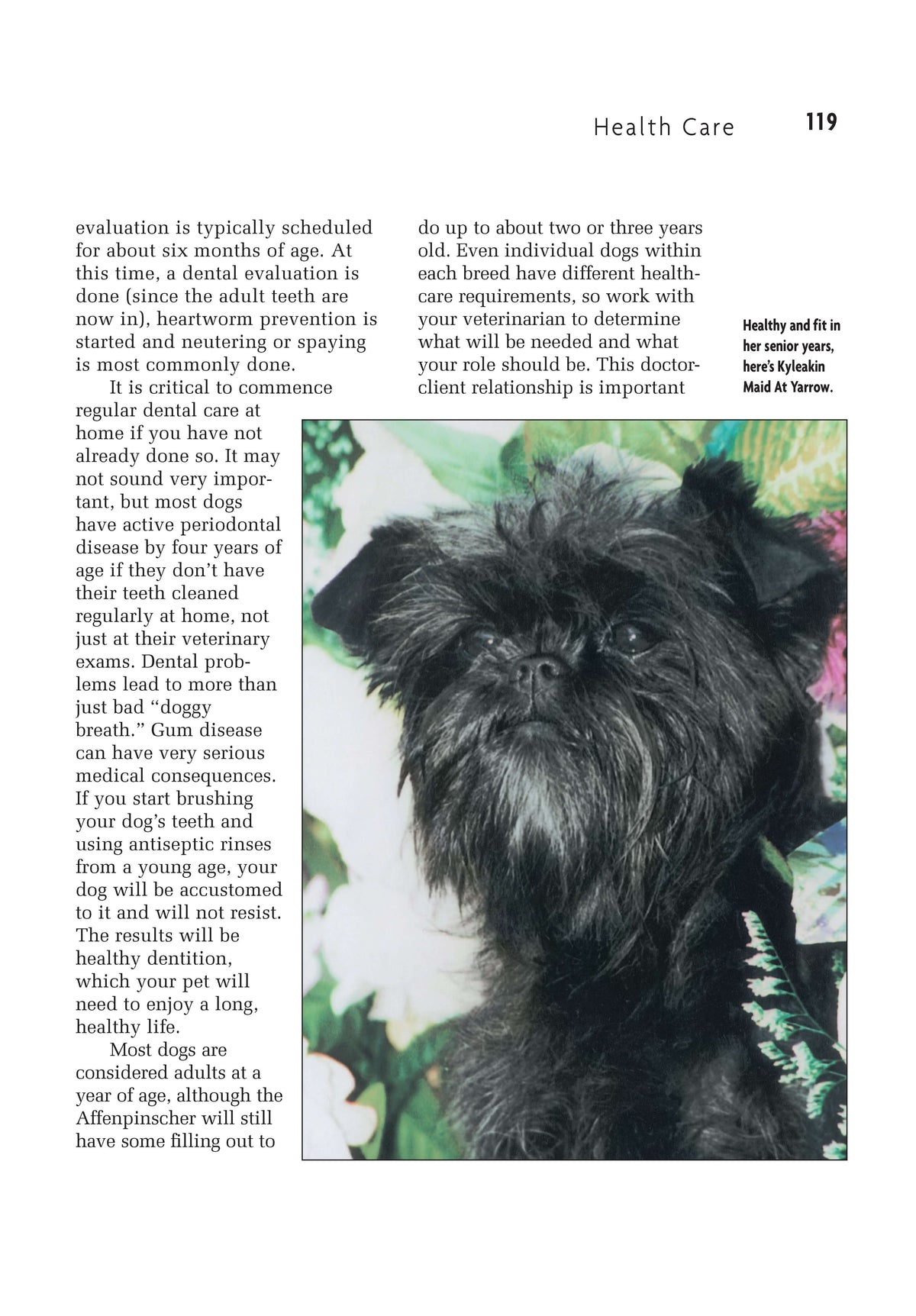 Affenpinscher (Comprehensive Owners Guide)